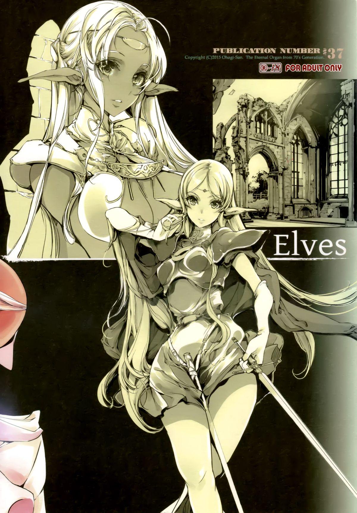 Elves(C88) [70年式悠久機関 (おはぎさん)]  (ロードス島戦記) [中国翻訳](47页)