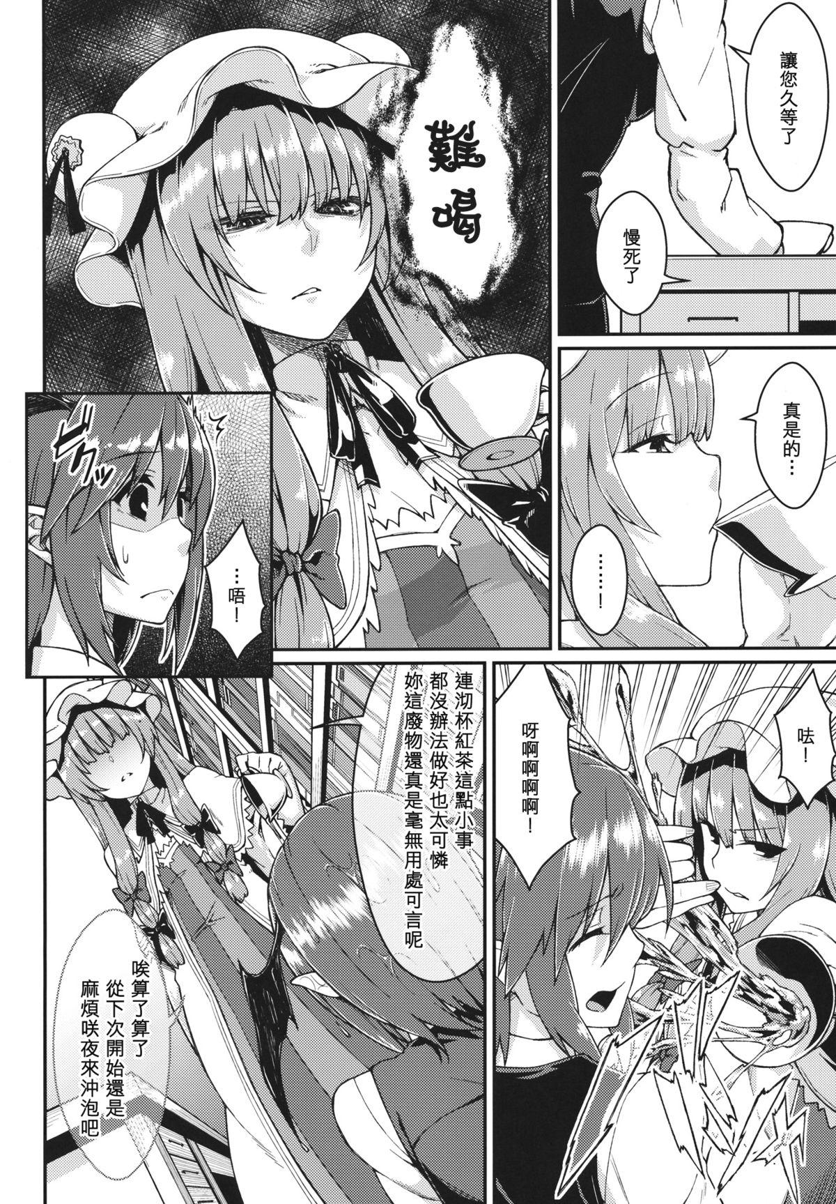 パチェ堕とし(例大祭10) [広十練習帖 (広弥)]  (東方Project) [中国翻訳](28页)