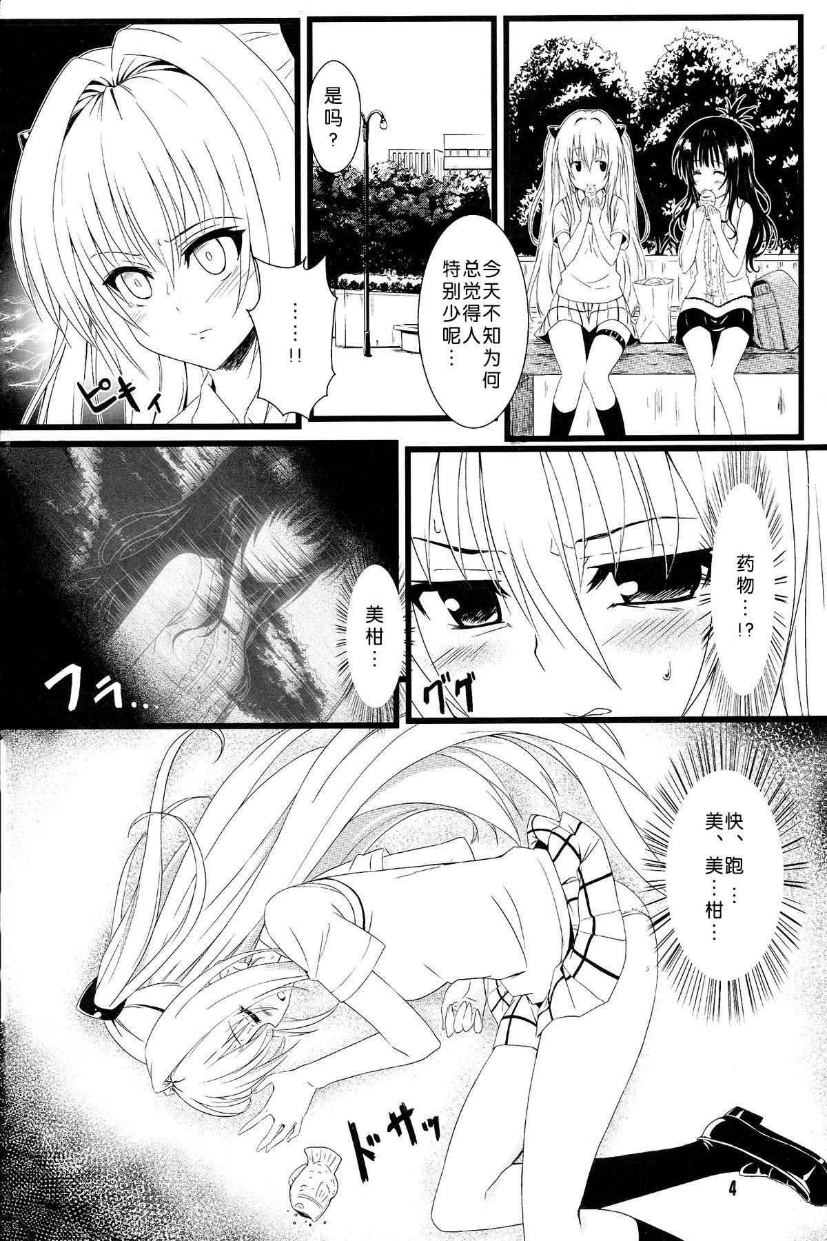 ヤミの闇。(C83) [カミナリネコ (えーたろー)]  (To LOVEる -とらぶる-) [中国翻訳](27页)