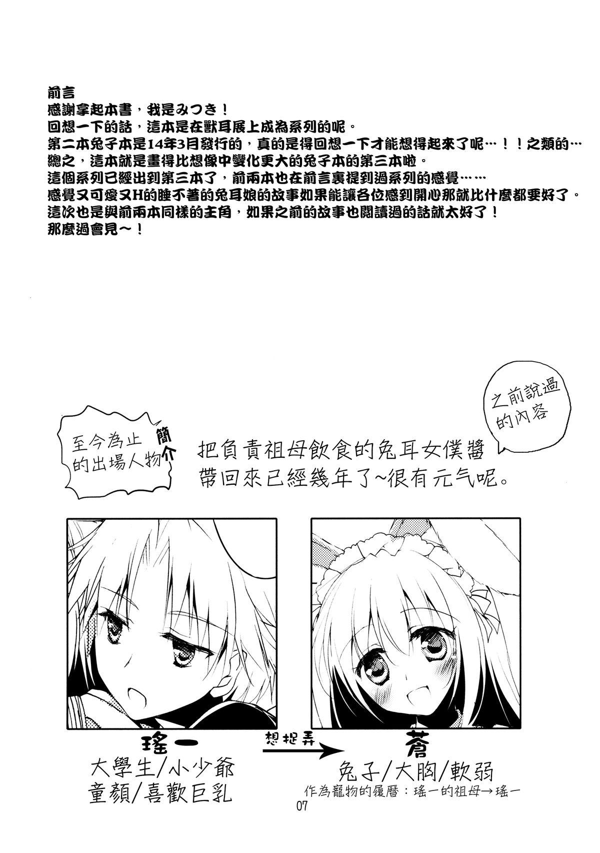 ImitationRabbey 3(C89) [FRAC (もとみやみつき)][中国翻訳](C89) [FRAC (Motomiya Mitsuki)]Imitation Rabbey 3[Chinese] [夢之行蹤漢化組](28页)