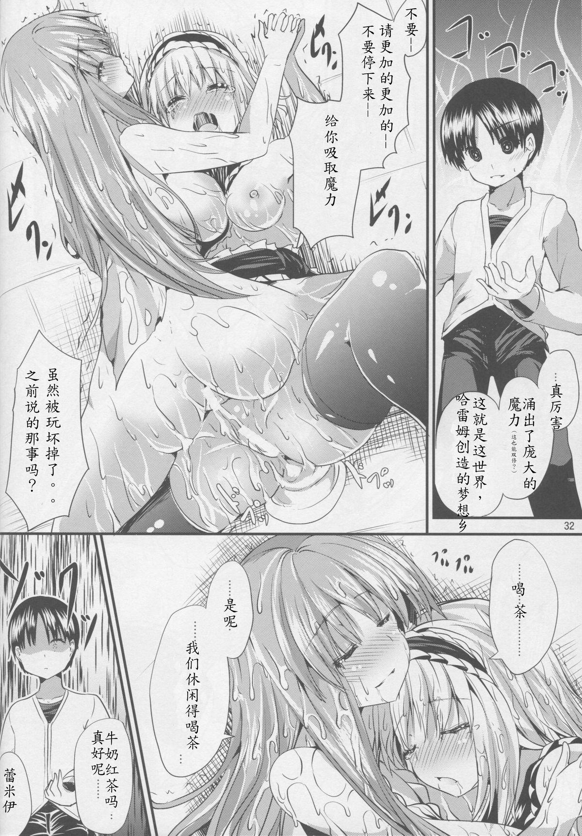 サタニックカーニバル 3(例大祭12) [うぉーたーどろっぷ (MA-SA)]  (東方Project) [中国翻訳](34页)