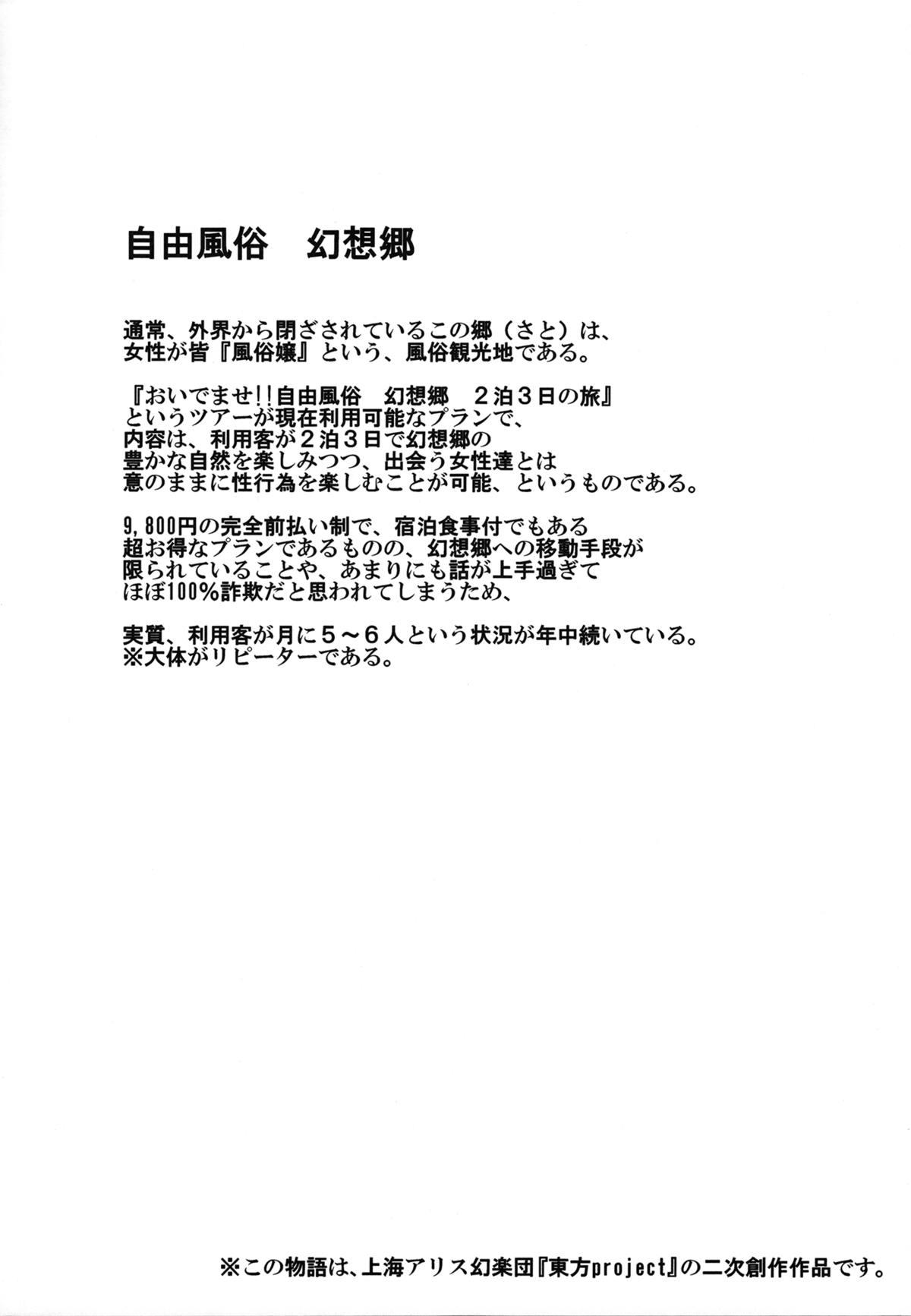 おいでませ!!自由風俗 幻想郷 2泊3日の旅(大⑨州東方祭8) [にゅう工房 (にゅう)]  (東方Project) [中国翻訳](31页)