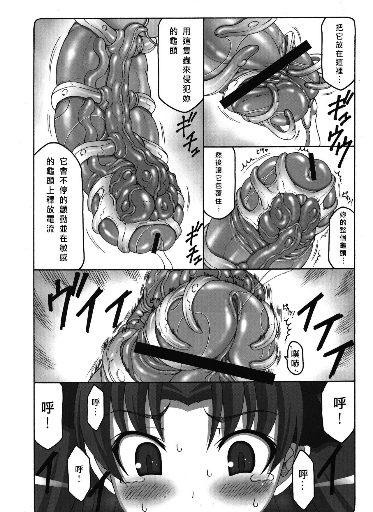 蟲鳥 8(COMIC1☆6) [暴れん坊天狗 (泉ゆうじろ～)]  (Fate/stay Night) [中国翻訳](24页)