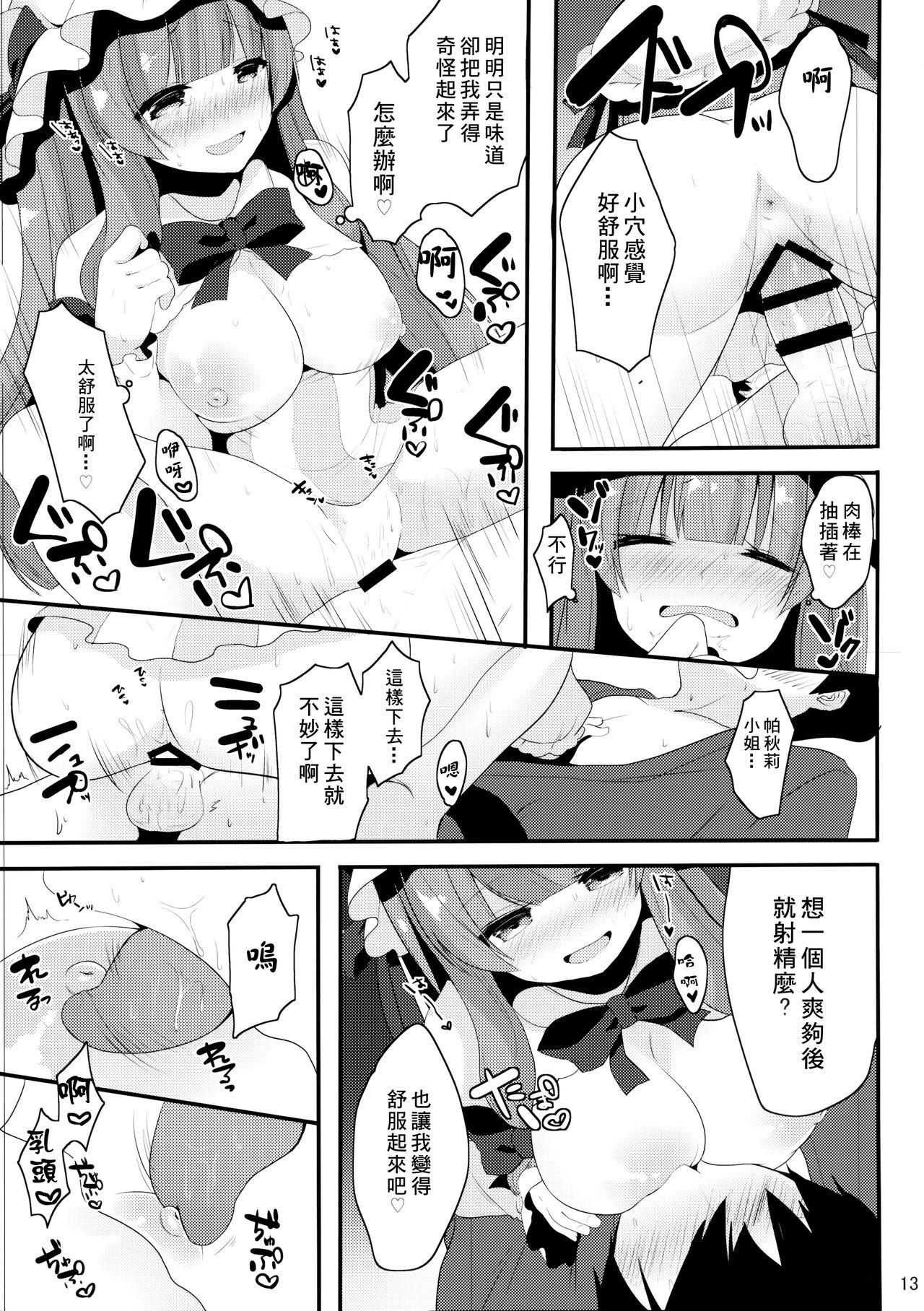 おしごとぱちぇっくす(C87) [Chocolate Synapse (椎架ゆの)]  (東方Project) [中国翻訳](24页)