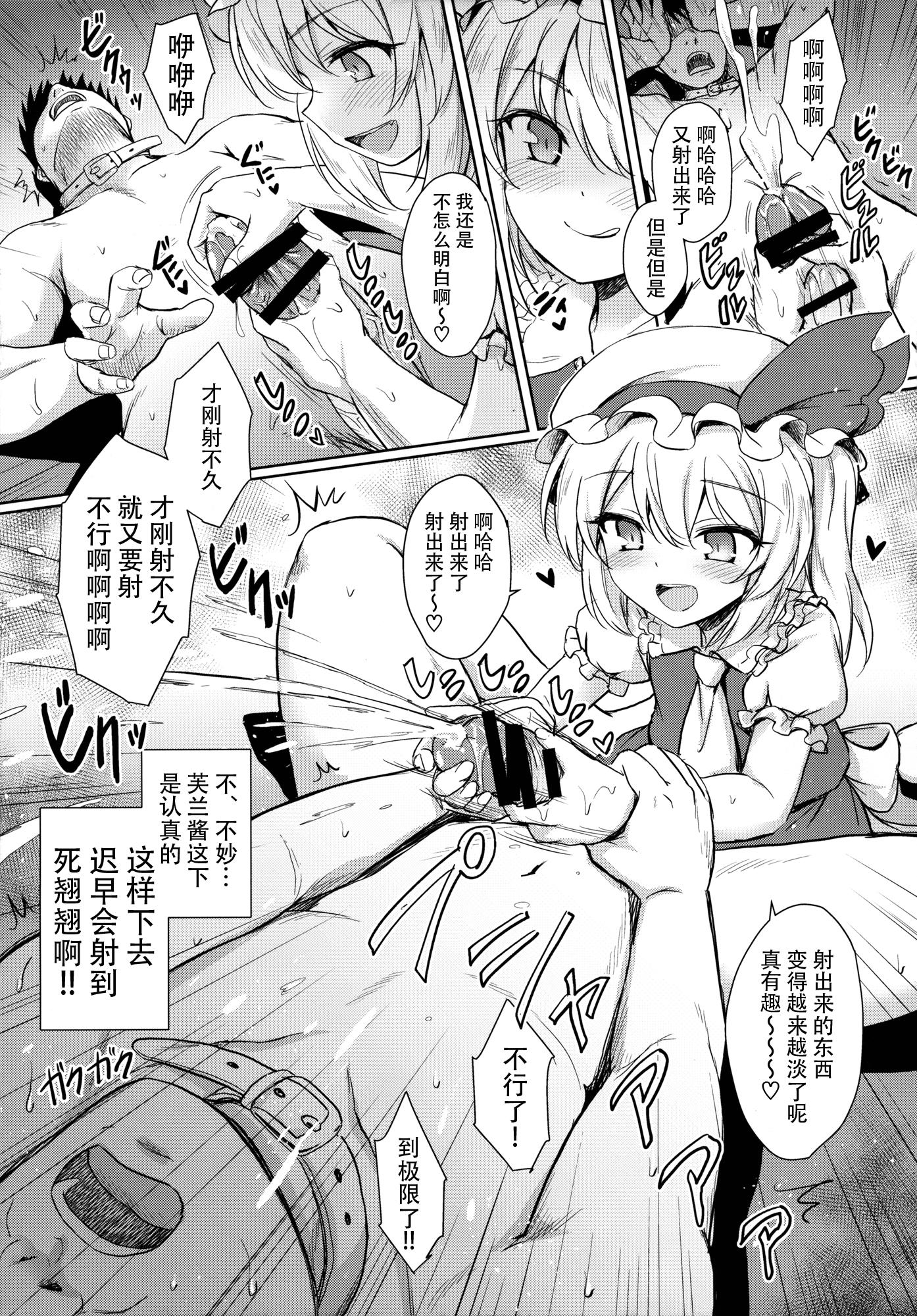 フランちゃんのペット(例大祭13) [54BURGER (まるごし)]  (東方Project) [中国翻訳](28页)