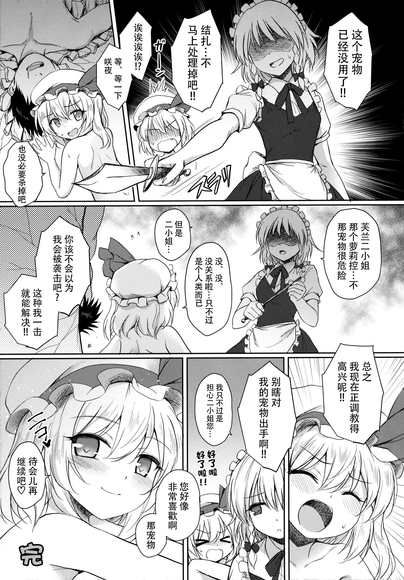 フランちゃんのペット(例大祭13) [54BURGER (まるごし)]  (東方Project) [中国翻訳](28页)