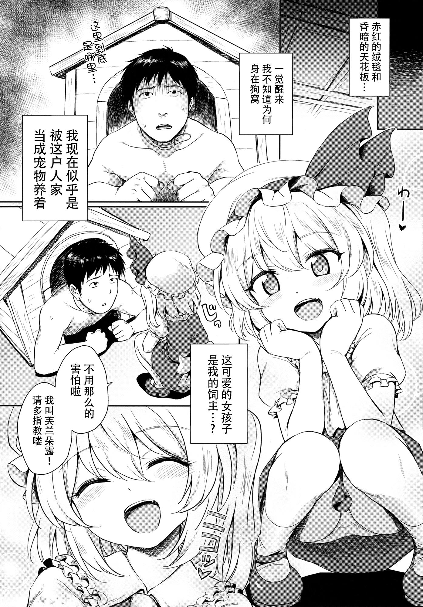 フランちゃんのペット(例大祭13) [54BURGER (まるごし)]  (東方Project) [中国翻訳](28页)