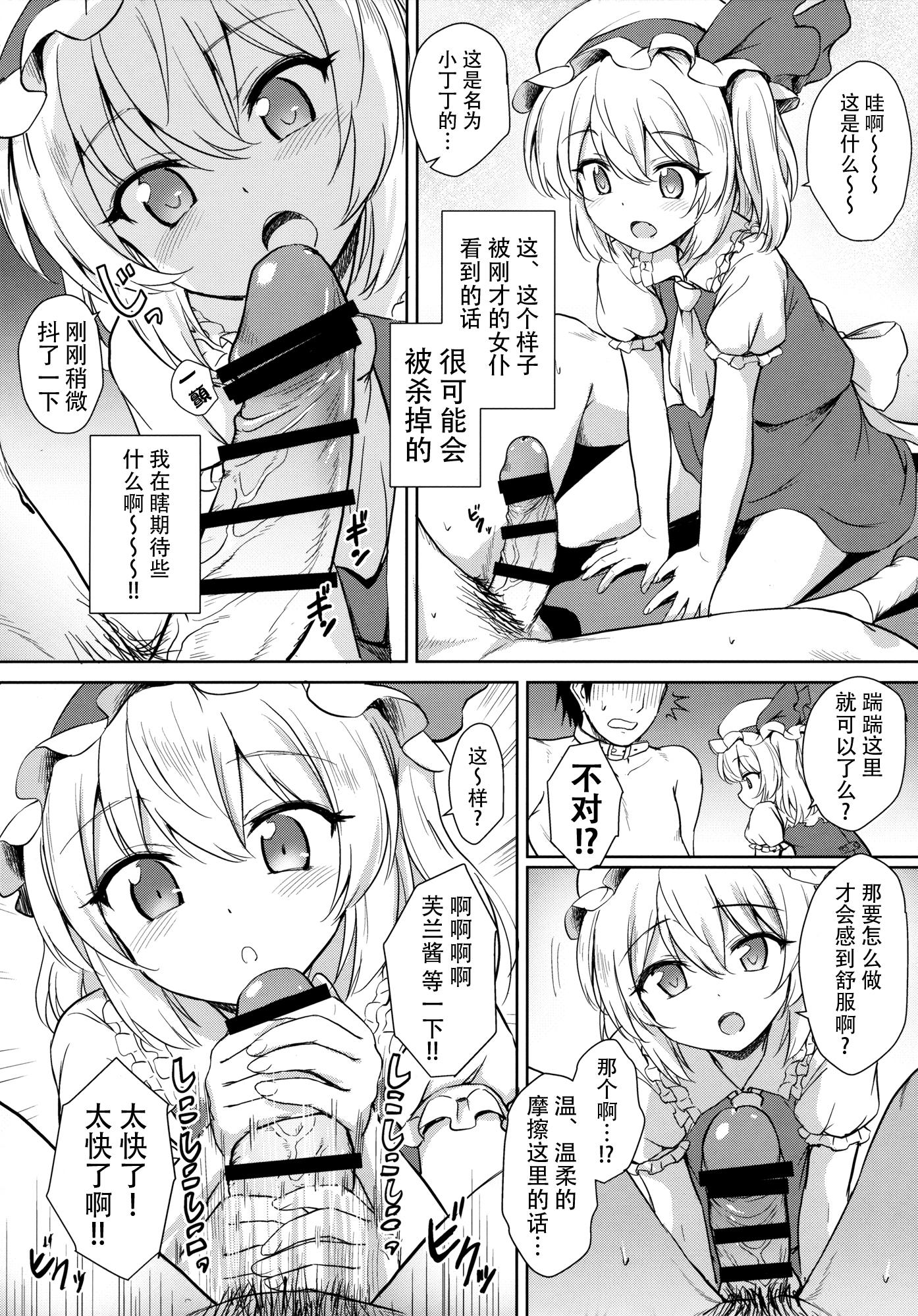 フランちゃんのペット(例大祭13) [54BURGER (まるごし)]  (東方Project) [中国翻訳](28页)