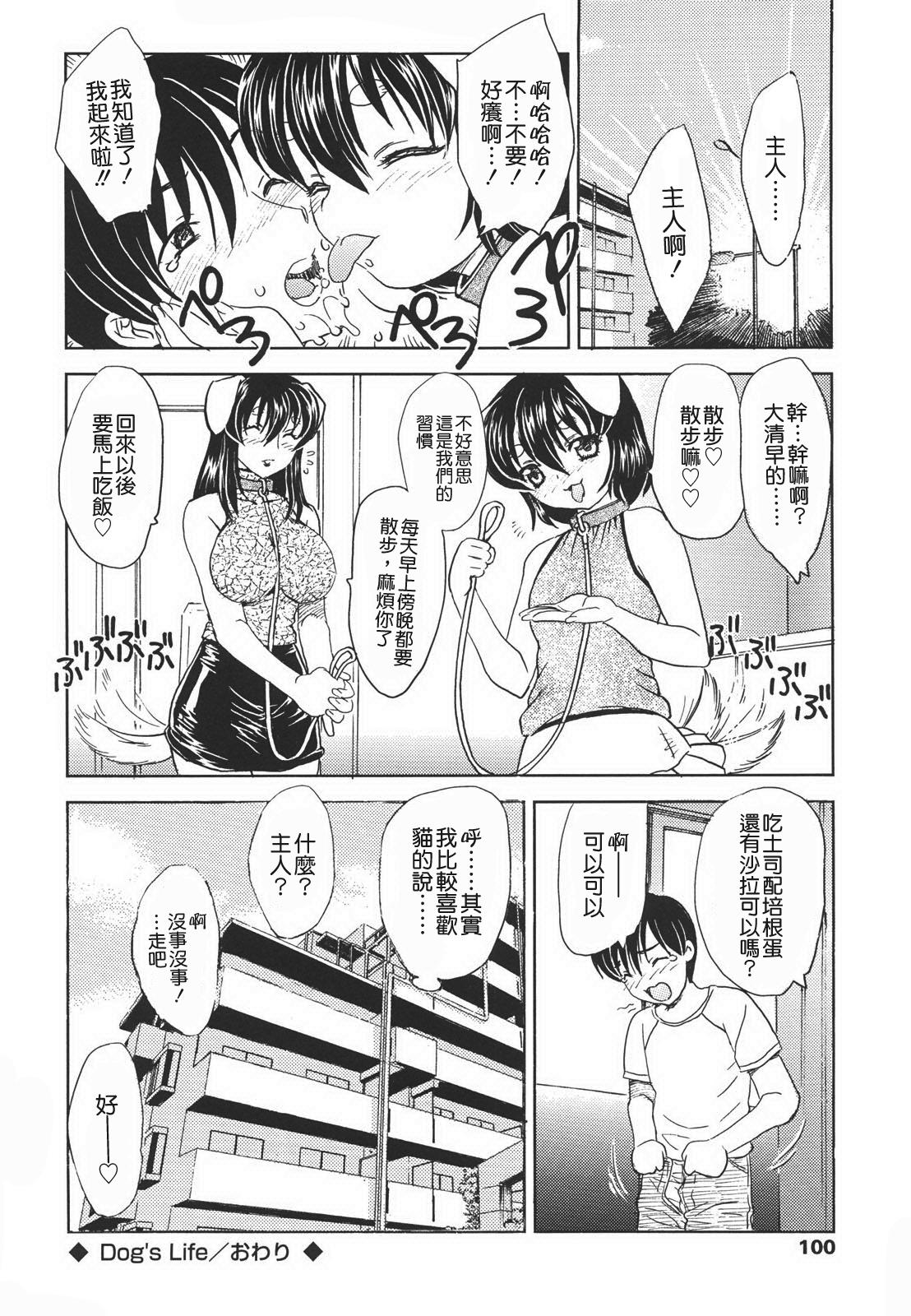 中までどうぞ[飛龍乱]  [中国翻訳](183页)