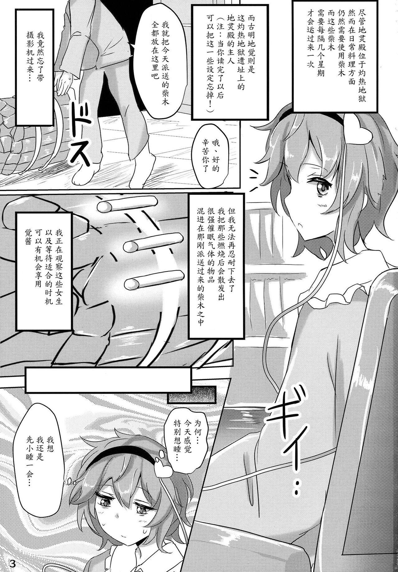 さとり睡姦(例大祭12) [白銀木犀 (ぽし)]  (東方Project) [中国翻訳](23页)