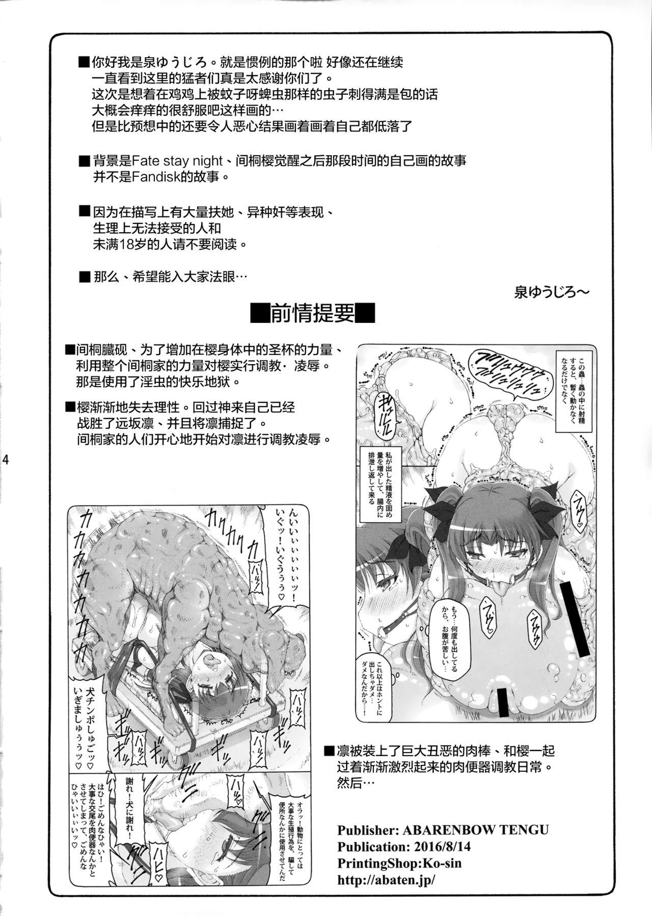 蟲鳥 13(C90) [暴れん坊天狗 (泉ゆうじろ~)]  (フェイト/ステイナイト) [中国翻訳](28页)