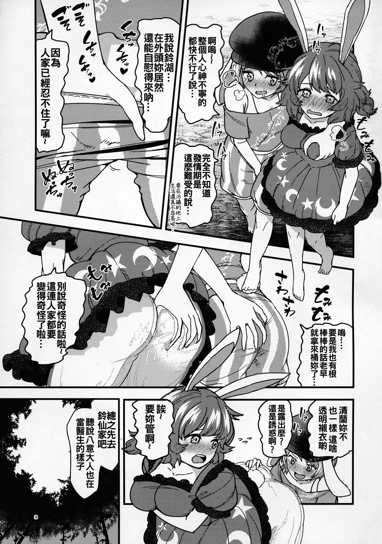 うさぎうさぎナニみてはねる(例大祭13) [こもりきり。 (卯林)]  (東方Project) [中国翻訳](30页)