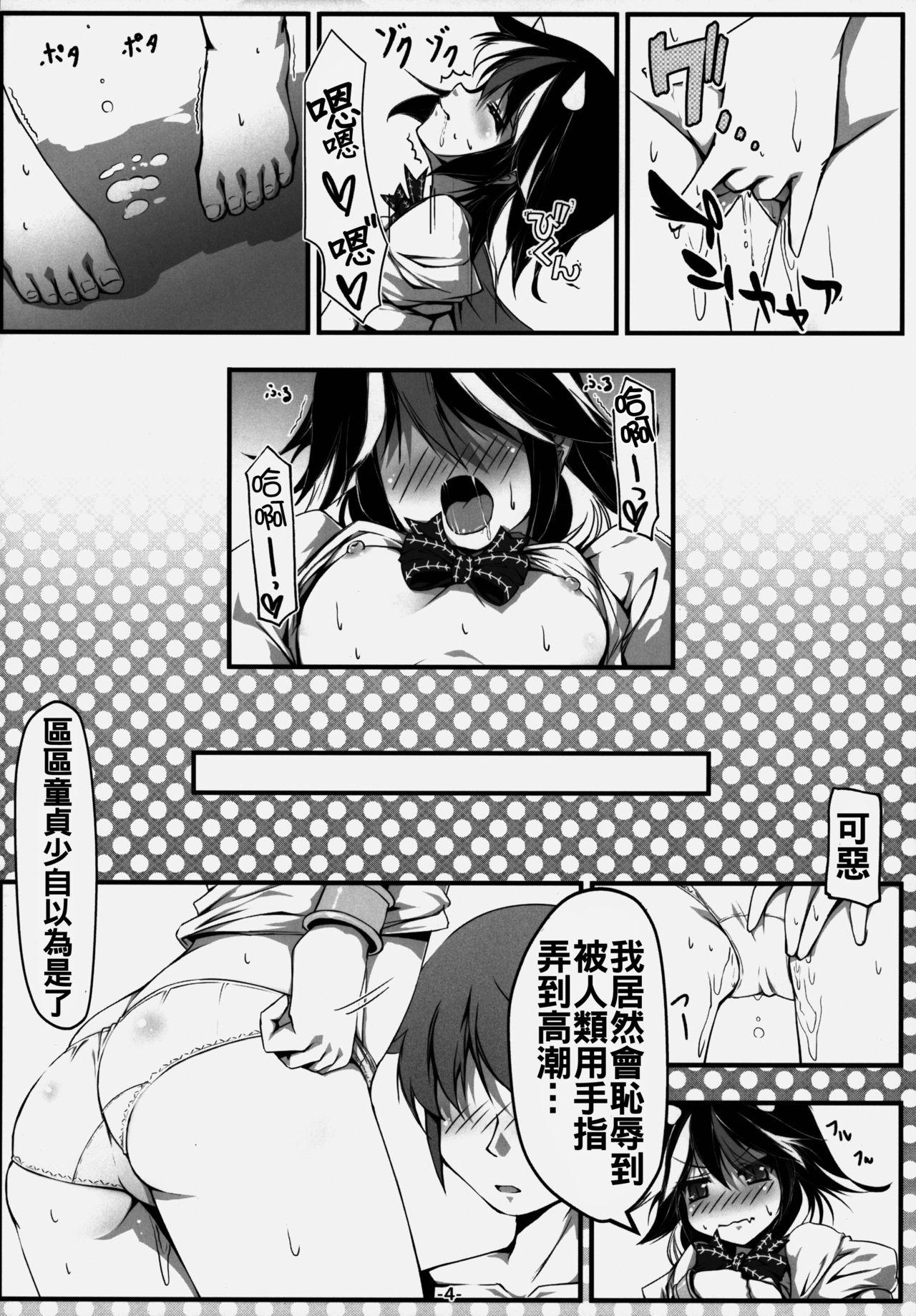 押しかけアマノジャク(C86) [あばらんち (チマQ)]  (東方Project) [中国翻訳](21页)