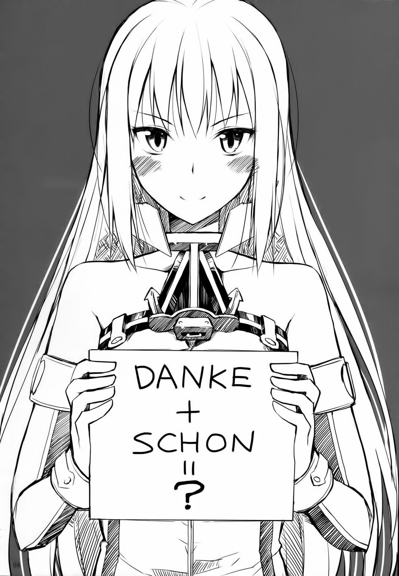 DANKE+SCHON(C90) [Digital Flyer (大田優一)]  (艦隊これくしょん -艦これ-) [中国翻訳](27页)