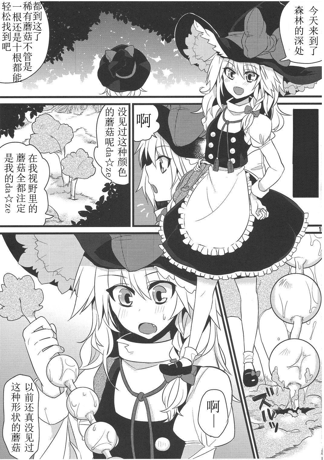 たまタマしっぽ(C81) [成宮 (鳴海也)]  (東方Project) [中国翻訳](47页)