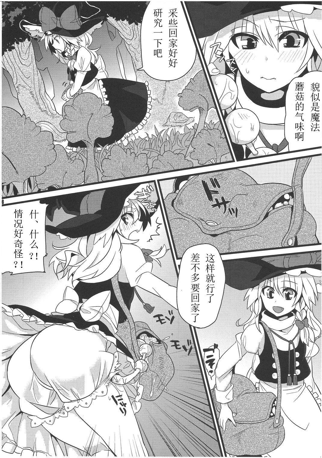 たまタマしっぽ(C81) [成宮 (鳴海也)]  (東方Project) [中国翻訳](47页)