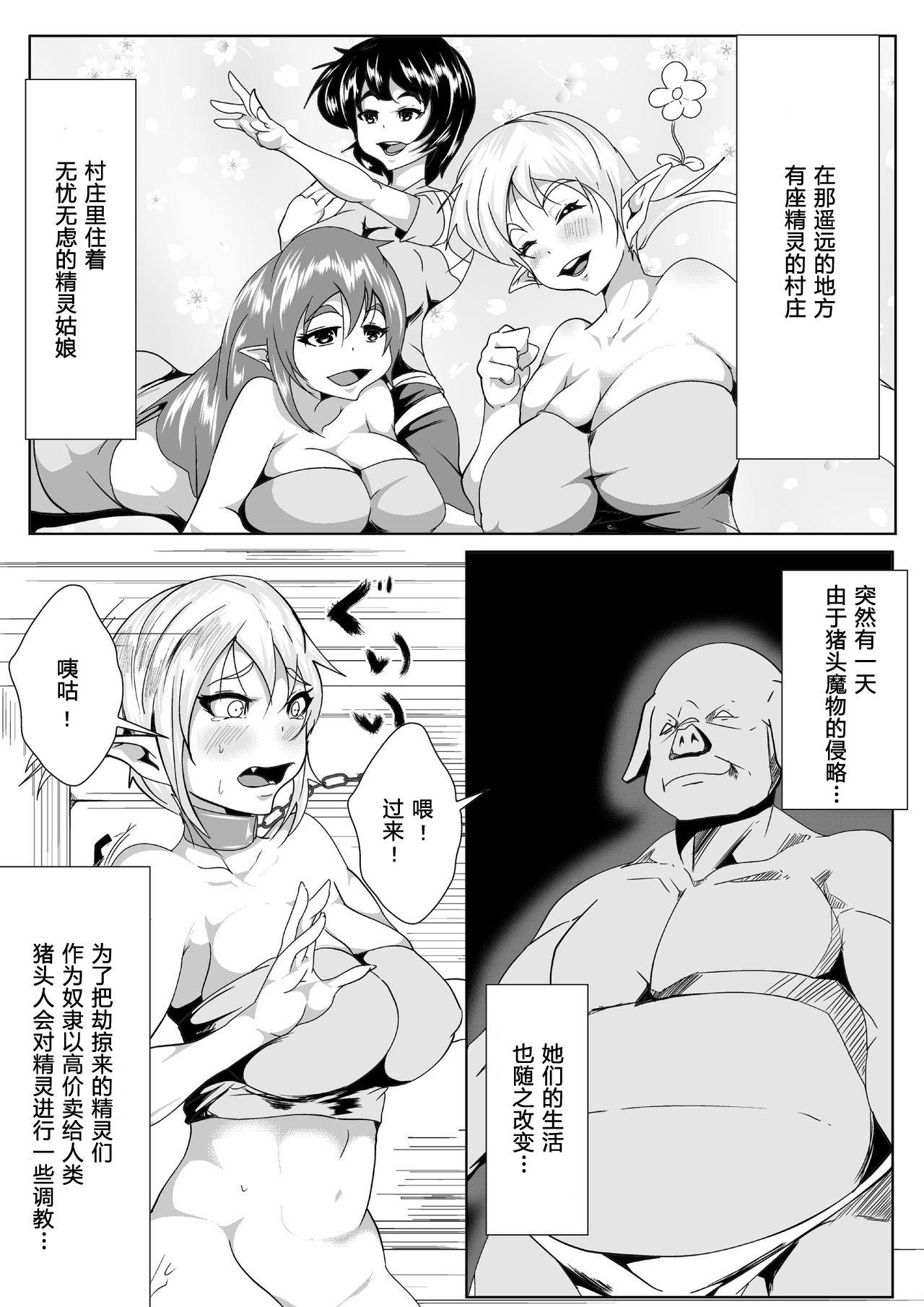 じらされエルフの調教日記[AKYS本舗]  [中国翻訳](25页)