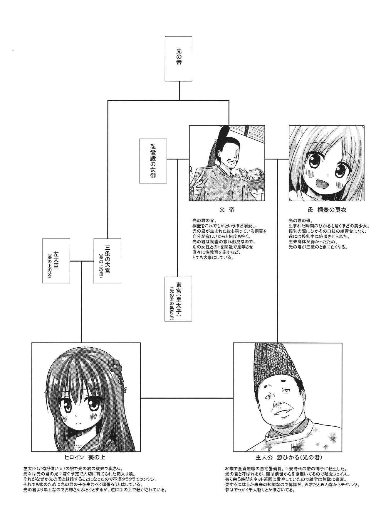 光の君のさがなき計画 &lt;葵&gt;(コミティア118) [ノラネコノタマ (雪野みなと)]  [中国翻訳](29页)