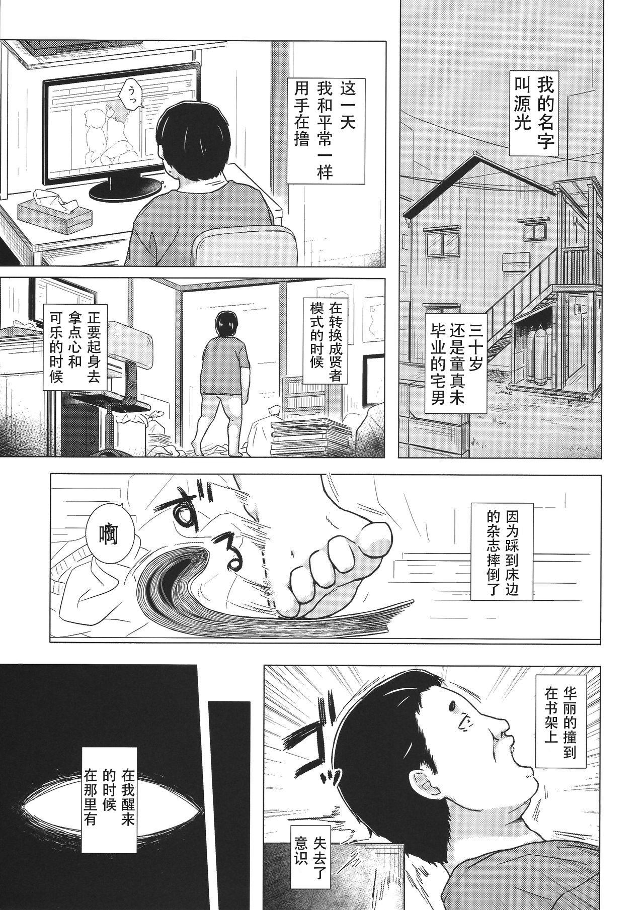 光の君のさがなき計画 &lt;葵&gt;(コミティア118) [ノラネコノタマ (雪野みなと)]  [中国翻訳](29页)