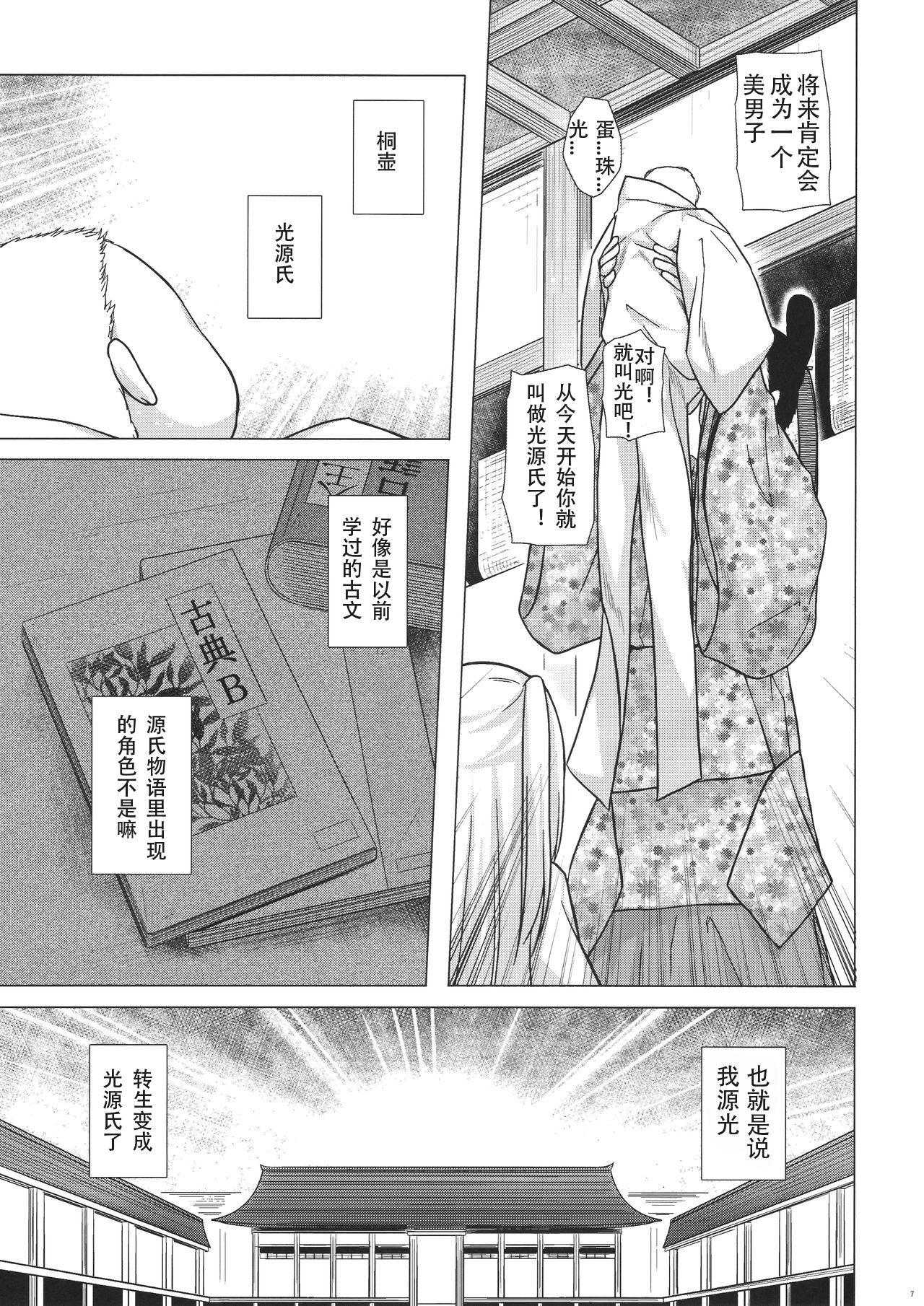 光の君のさがなき計画 &lt;葵&gt;(コミティア118) [ノラネコノタマ (雪野みなと)]  [中国翻訳](29页)