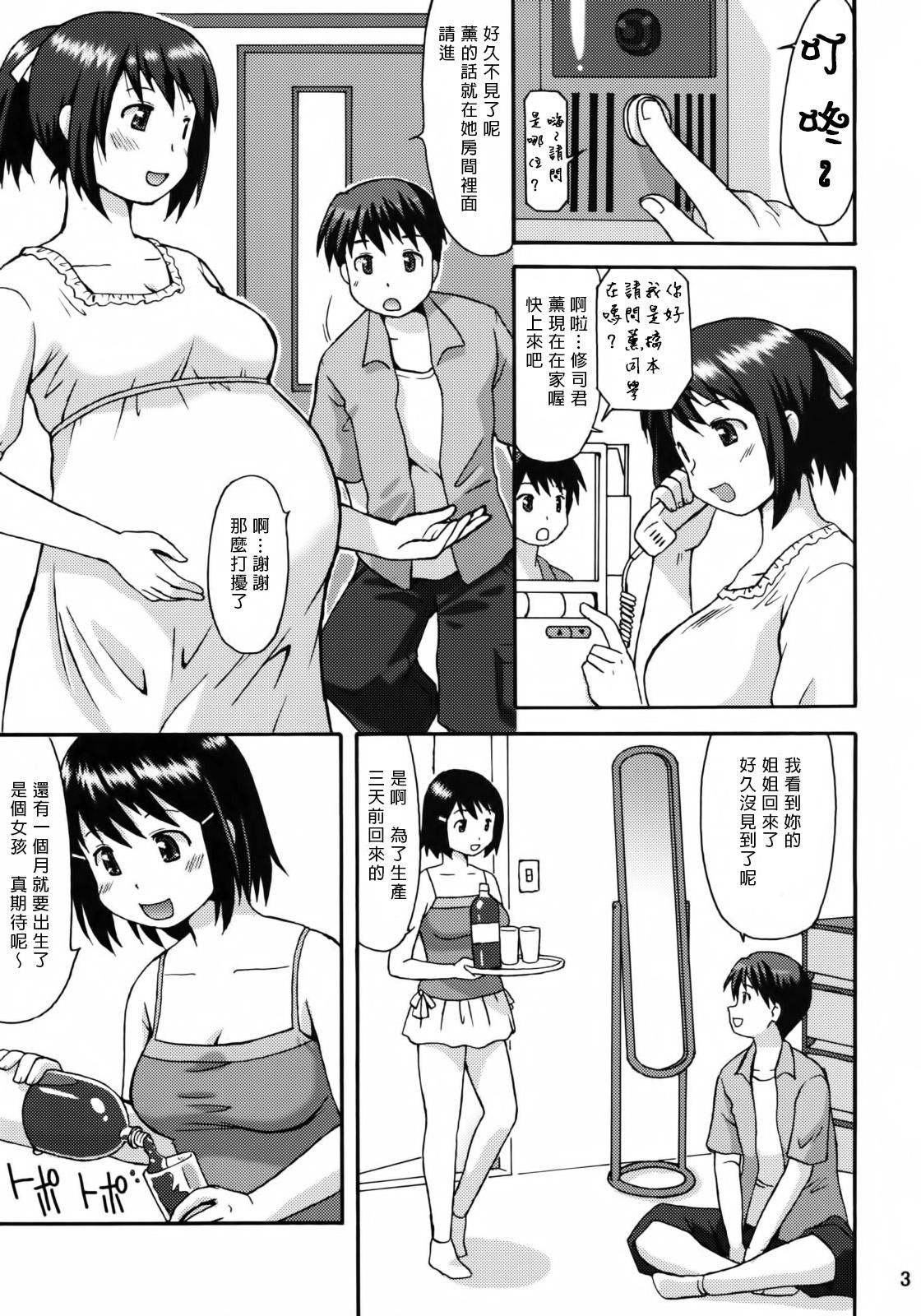 仮想妊Pu(COMIC1☆3) [嗚呼、我等加藤隼戦斗隊 (加藤)]  [中国翻訳](20页)