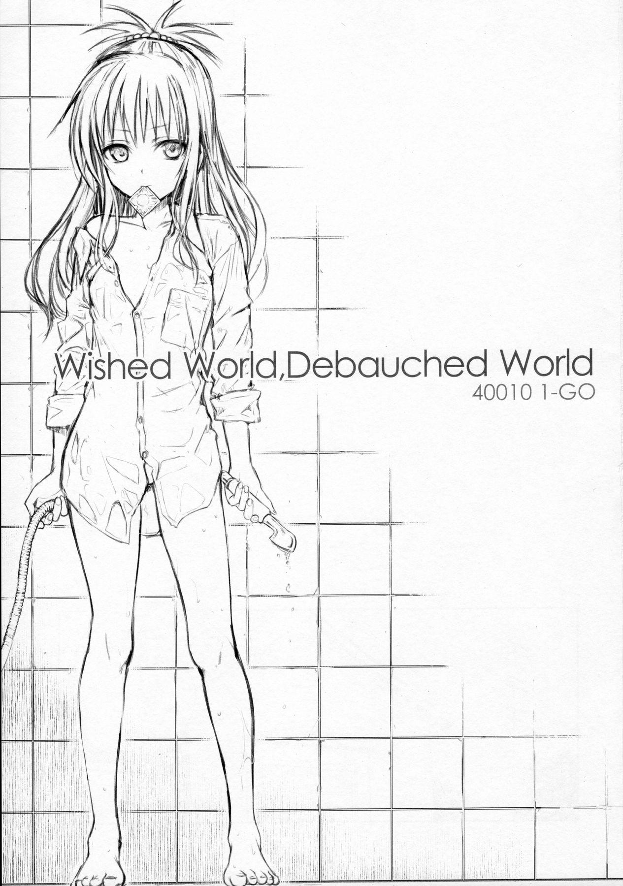 Wished World,Debauched World(C91) [40010壱号 (40010試作型)]  (To LOVEる -とらぶる-) [中国翻訳](23页)