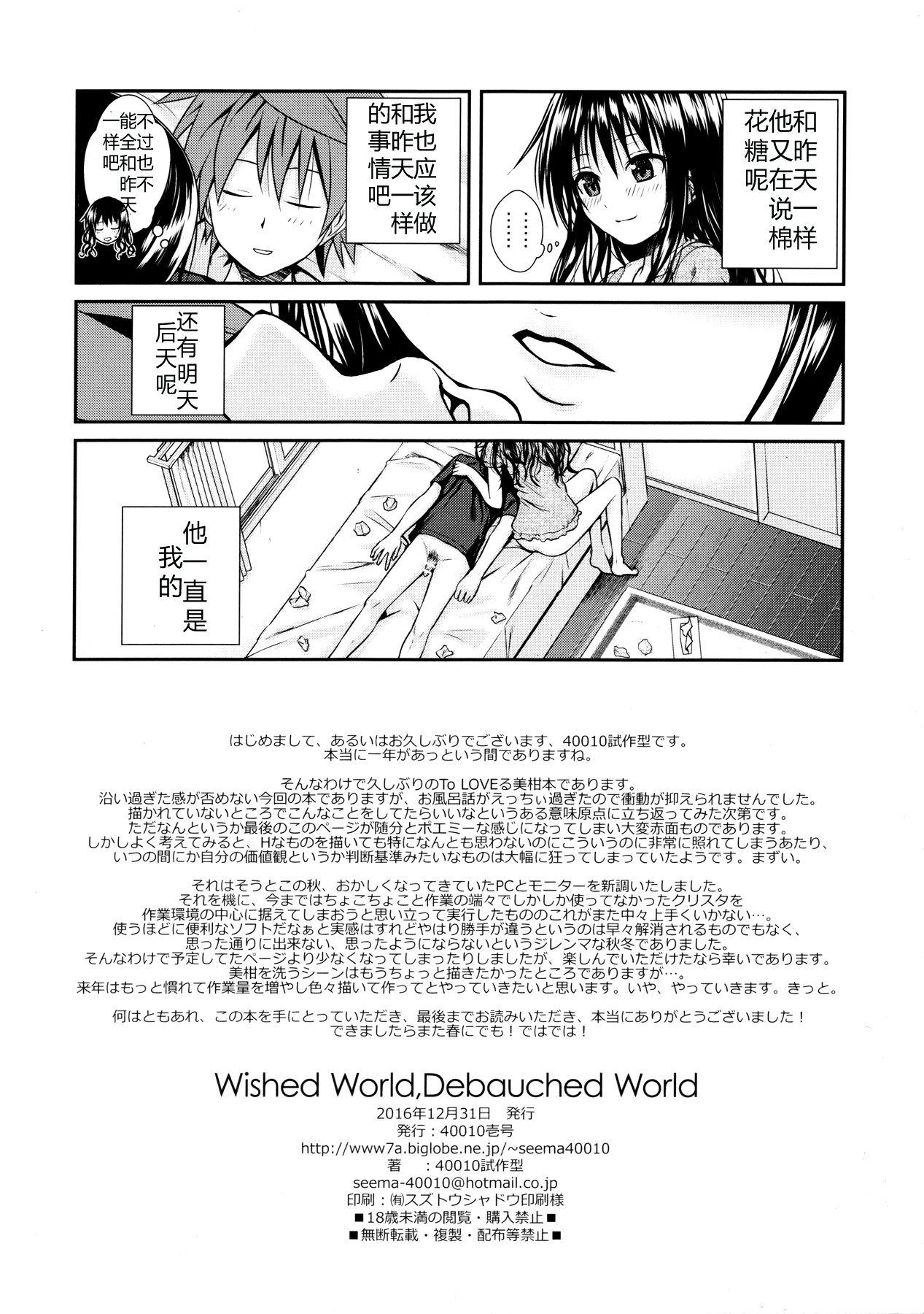 Wished World,Debauched World(C91) [40010壱号 (40010試作型)]  (To LOVEる -とらぶる-) [中国翻訳](23页)