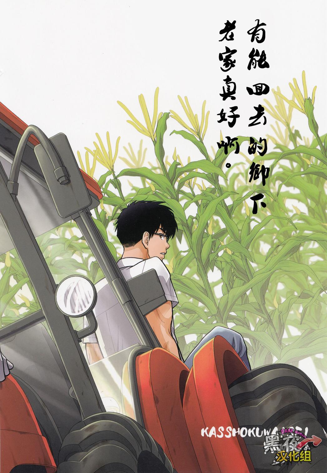 田舎へ帰ろう。(C90) [褐色矮星 (YANAGI)]  [中国翻訳](29页)