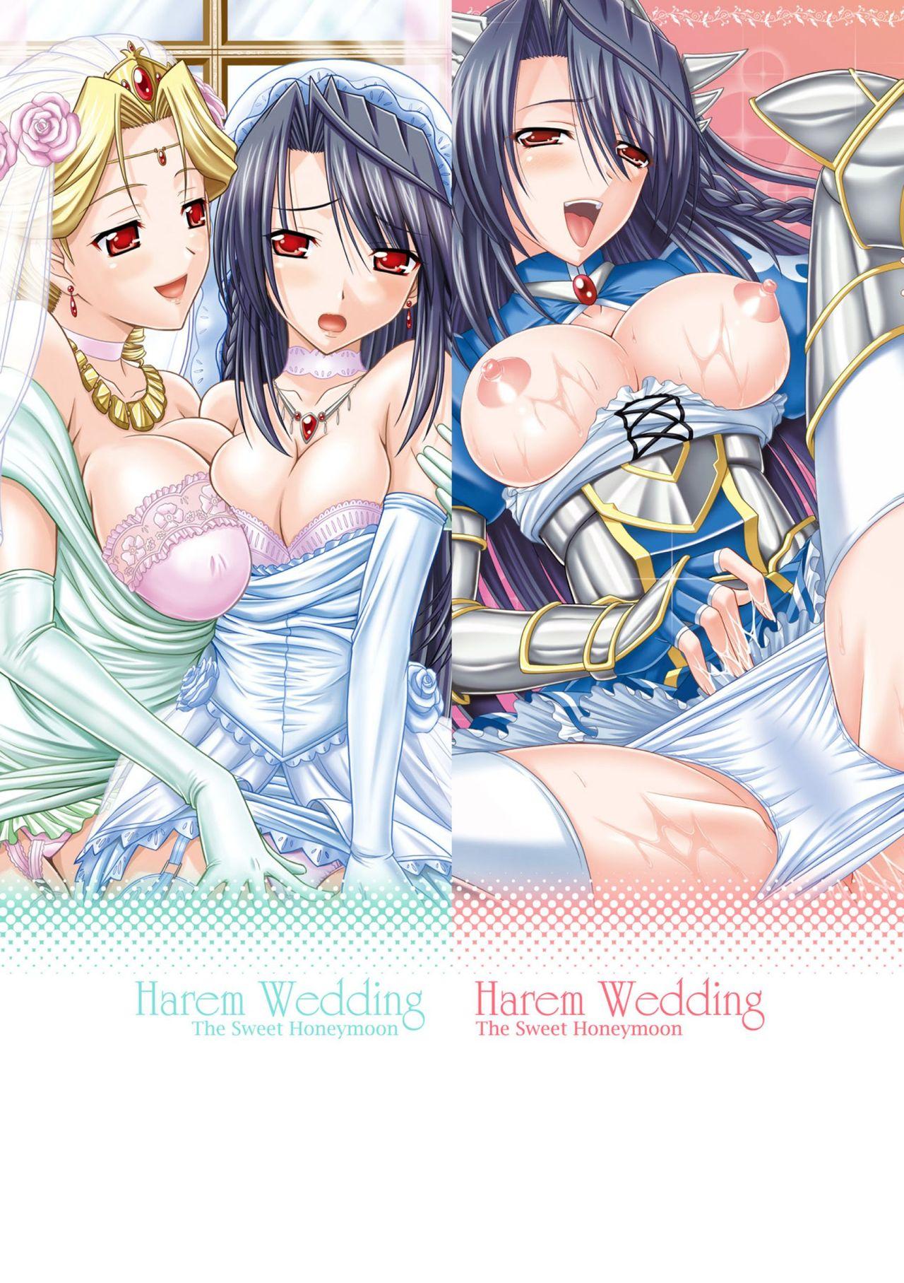 ハーレムウェディング The Sweet Honeymoon[神保玉蘭、竹内けん]  [中国翻訳] [DL版](203页)