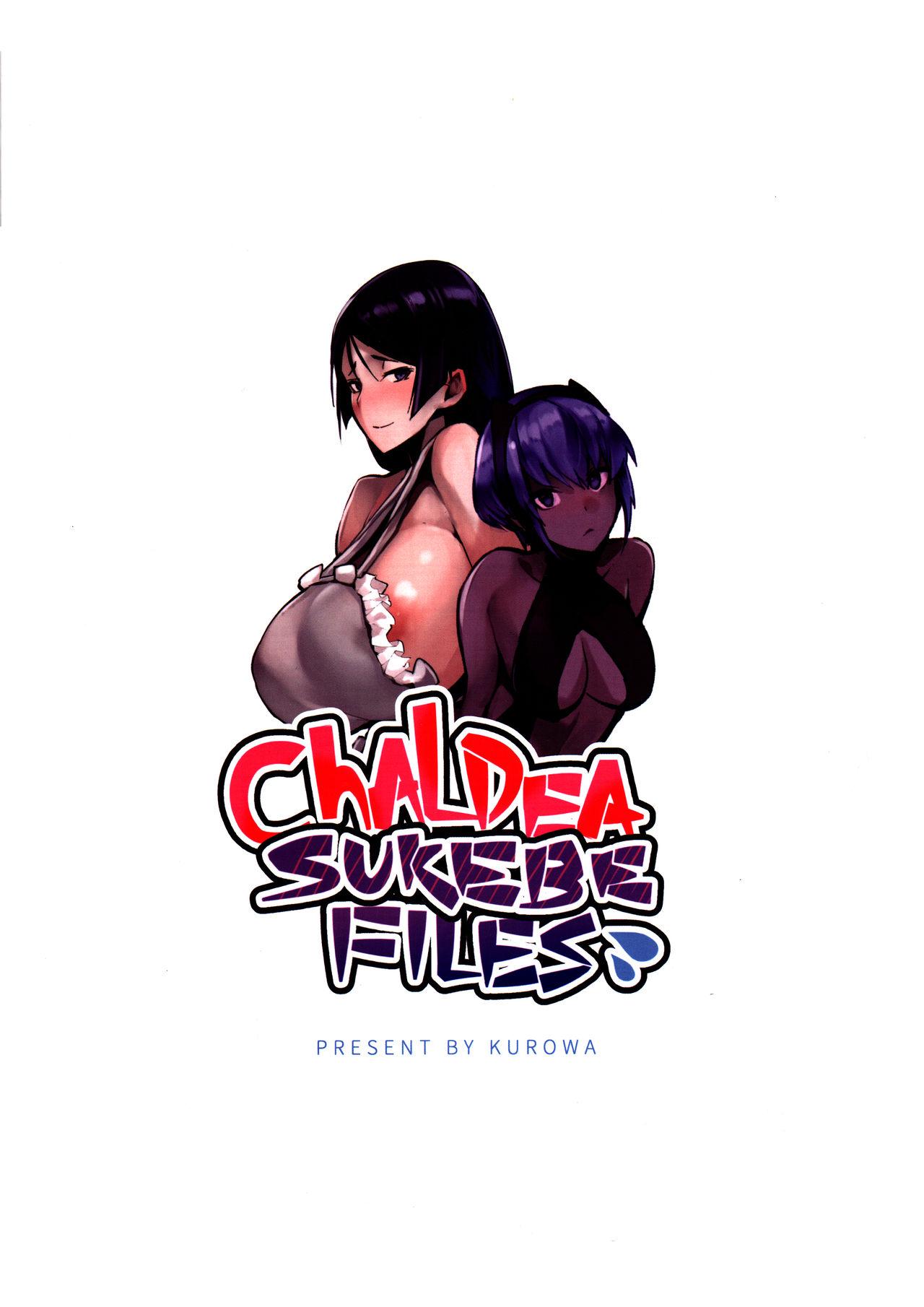 Chaldea Sukebe Files(FF29) [兔子老大 (黑輪)]  (Fate/Grand Order) [中国語](17页)