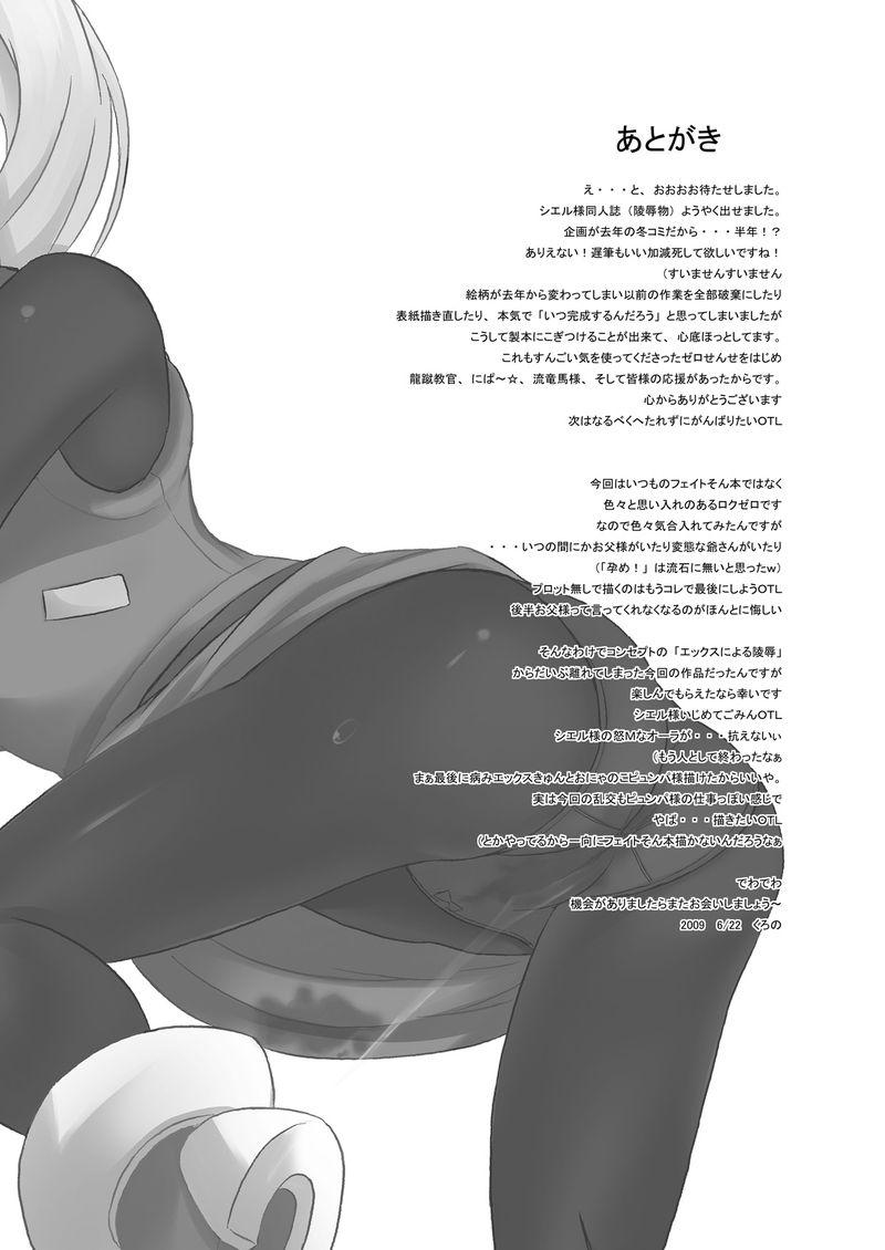 install zero 1[くろのとくろえ (くろの)]  (ロックマンゼロ) [中国翻訳](42页)