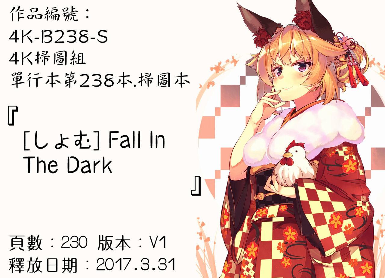 Fall In The Dark[しょむ]  [中国翻訳](216页)