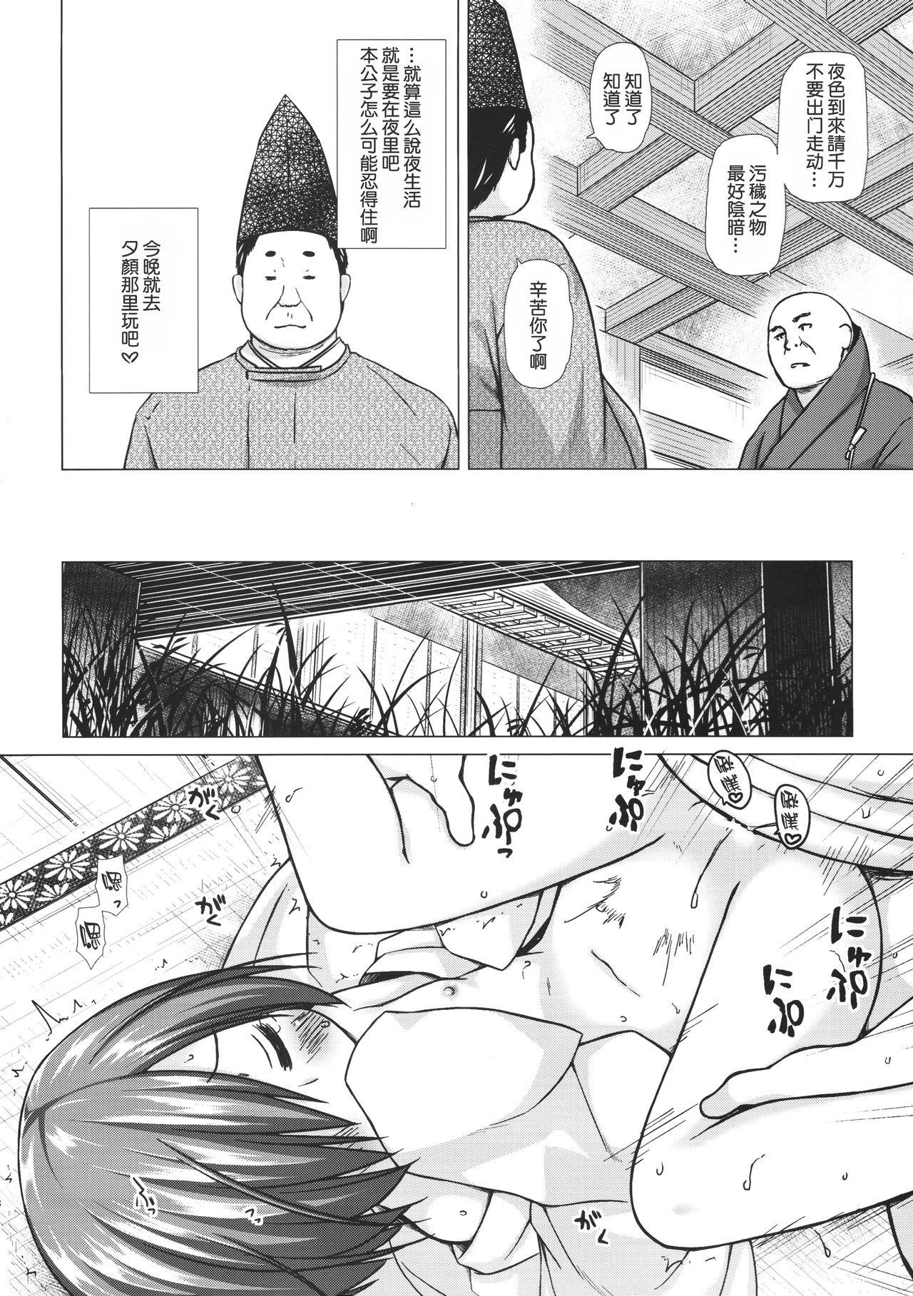 光の君のさがなき計画＜夕顔＞(サンクリ2017 Winter) [ノラネコノタマ (雪野みなと)]  [中国翻訳](27页)