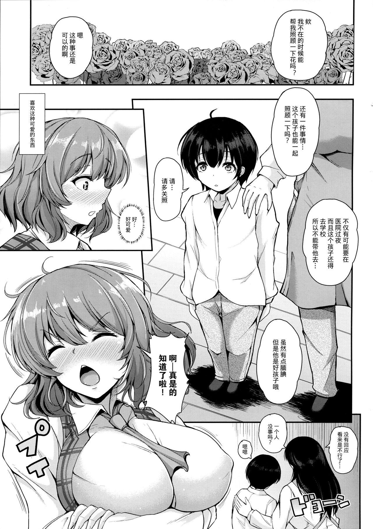 風見幽香と内緒プレイ(例大祭14) [ロケット調査室 (コザ)]  (東方Project) [中国翻訳](35页)