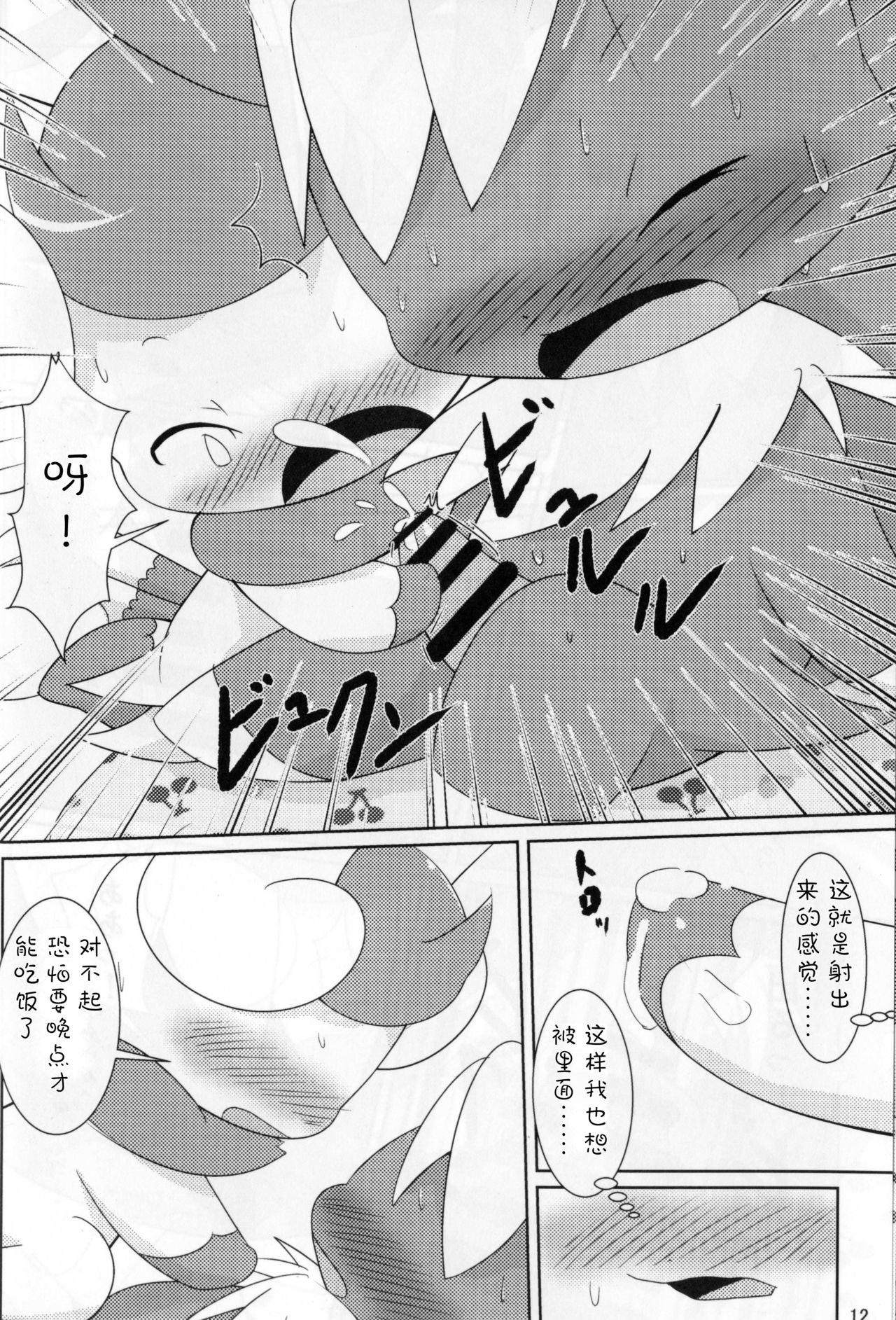 【C90】ニャオニクス♀×♂R18本 NyaoNightX  [pokemon][虾皮汉化组](26页)