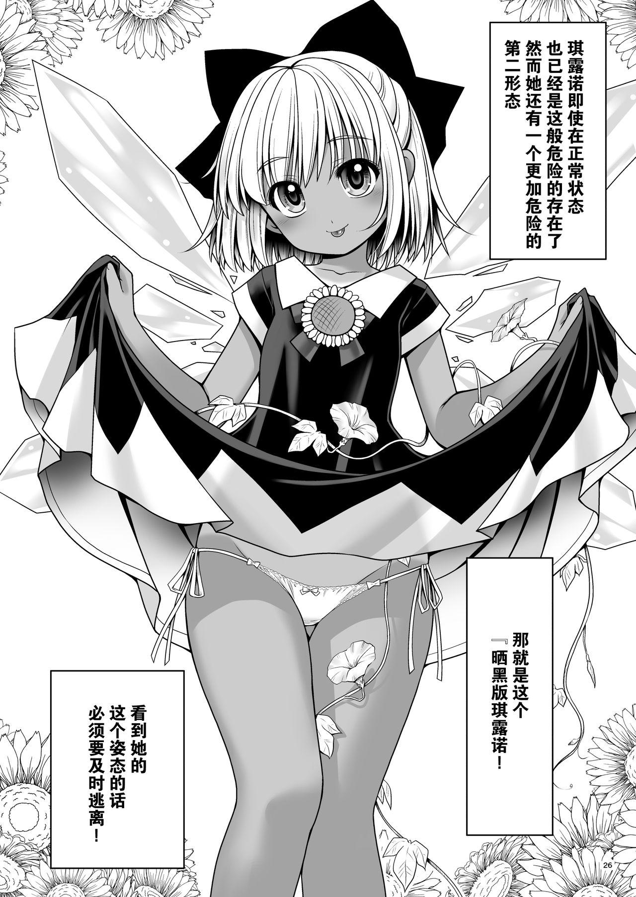 精液に群がり吸い付く妖精達[世捨人な漫画描き (ともきとものり)]  (東方Project) [中国翻訳] [DL版](35页)