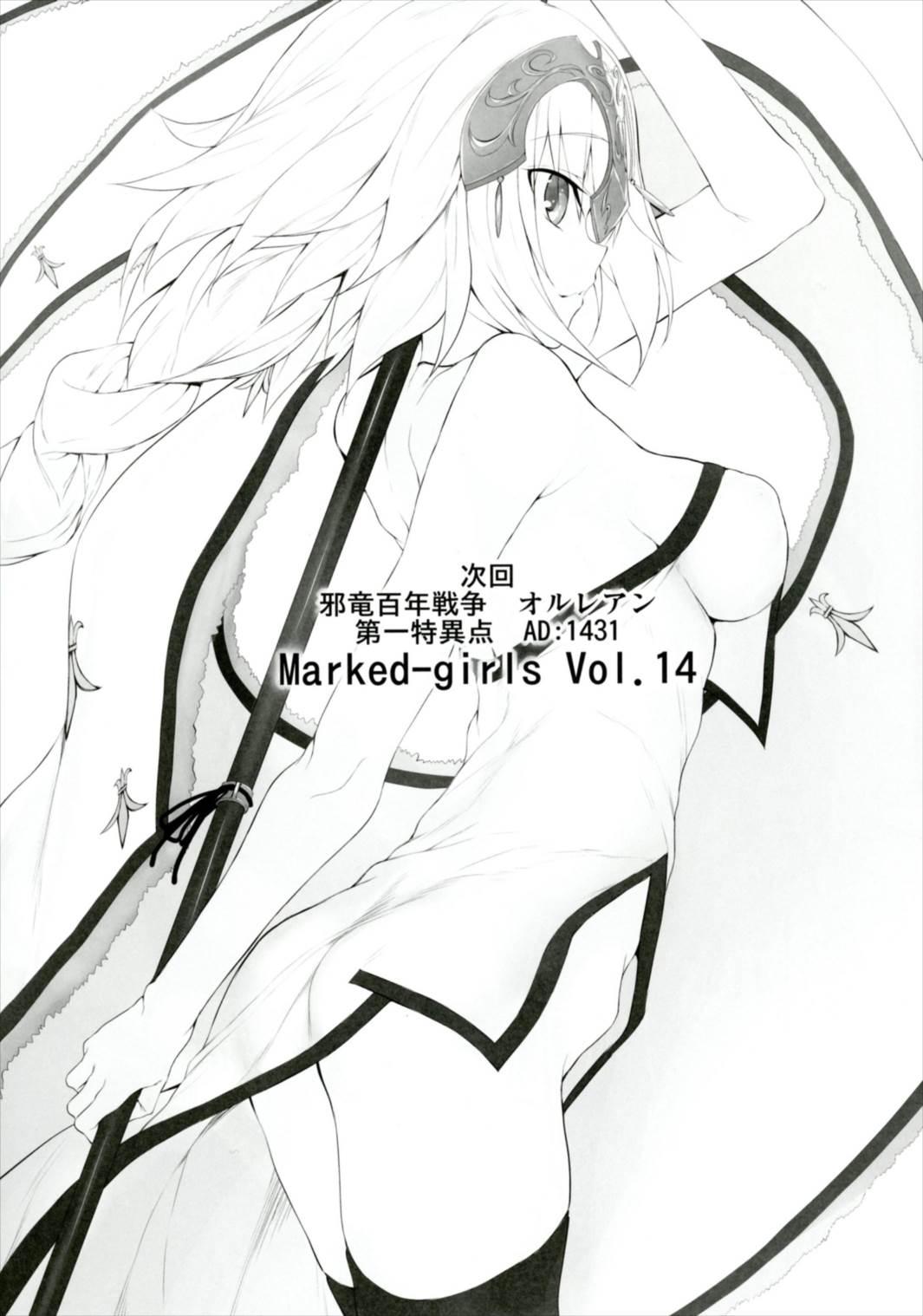 Marked-girls Vol.13(サンクリ2017 Winter) [Marked-two (スガヒデオ)]  (Fate/Grand Order) [中国翻訳](21页)