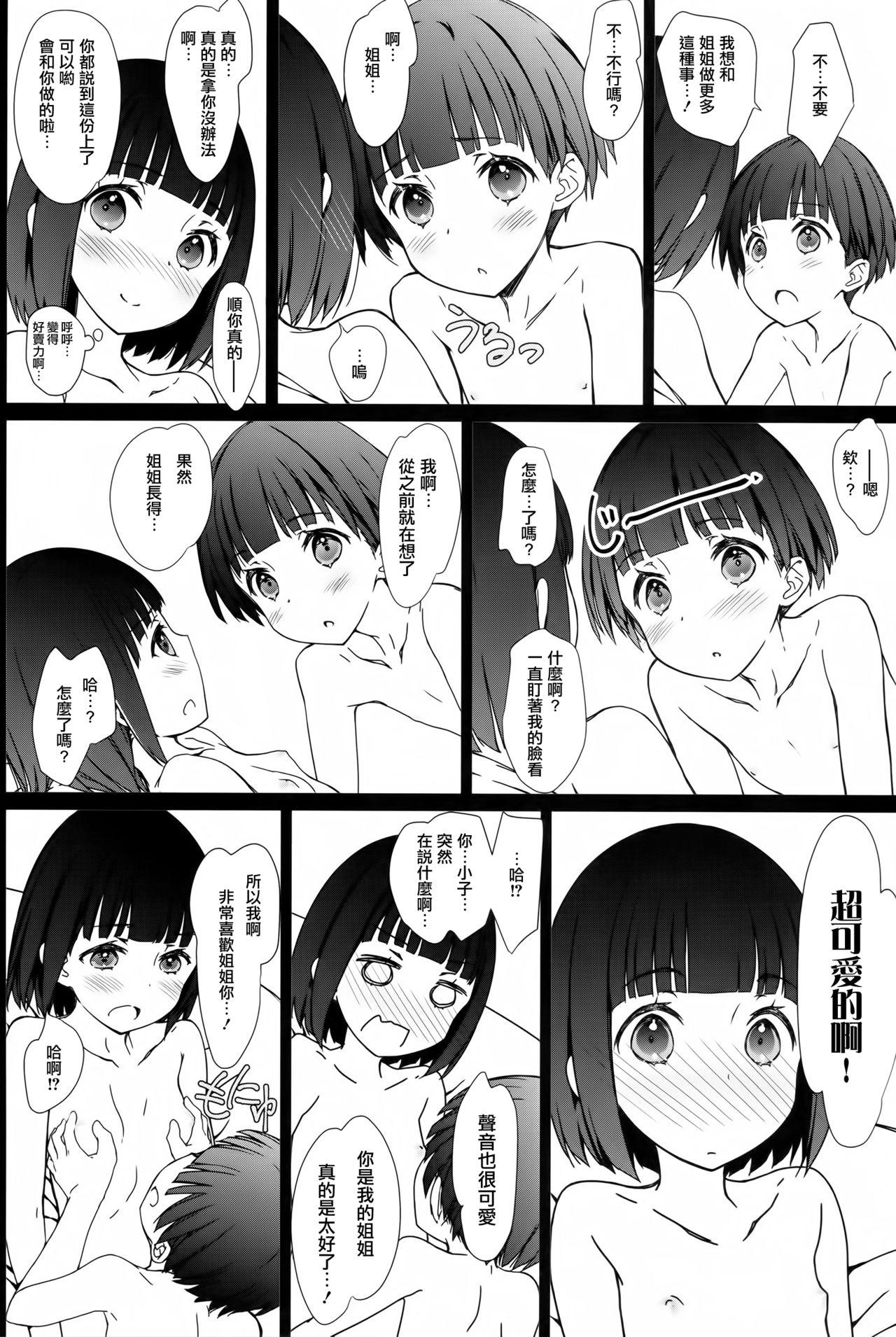 お姉ちゃんと僕と(コミティア120) [超平板小娘電視台 (ほっけうるふ)]  [中国翻訳](20页)