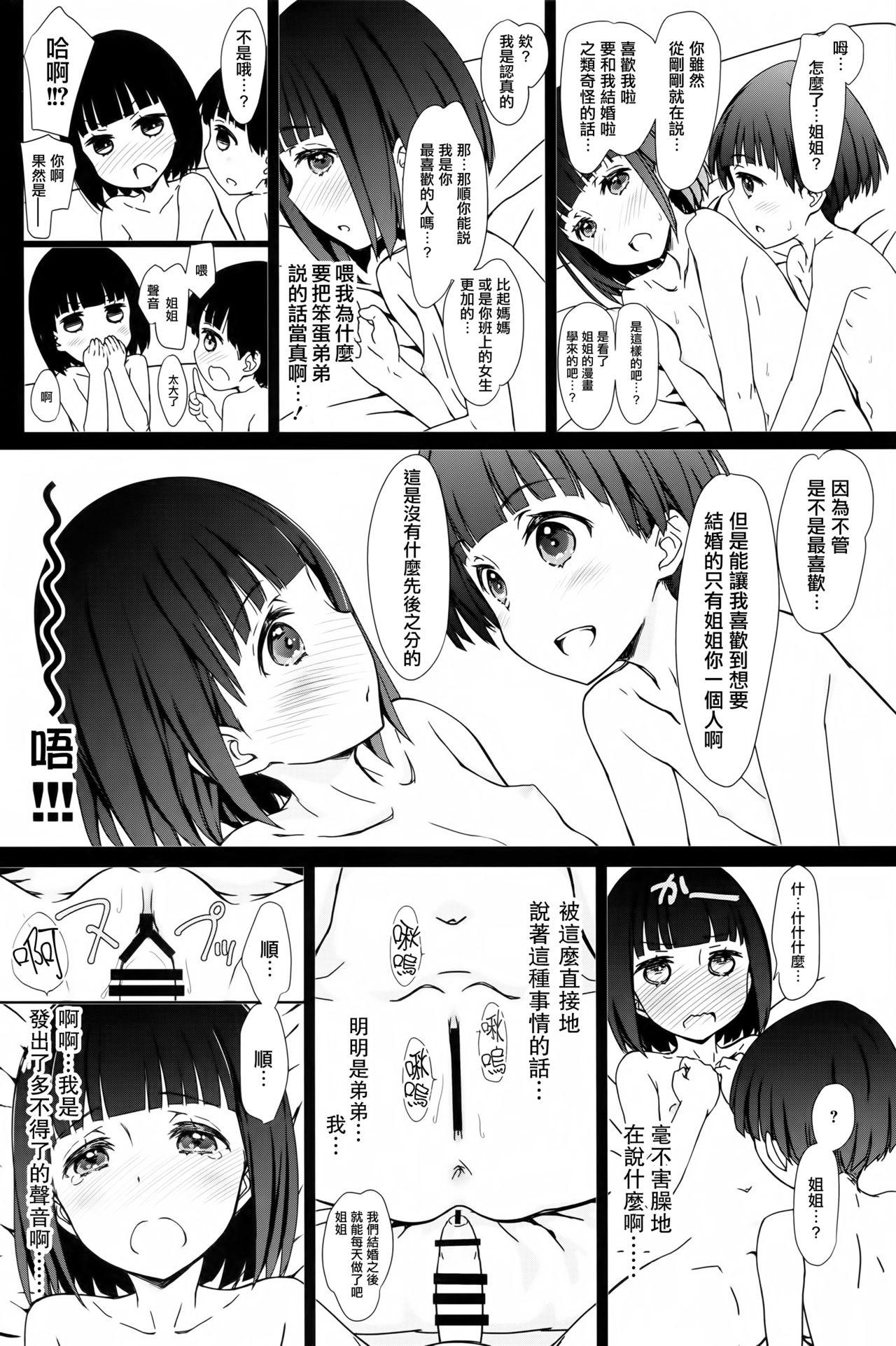 お姉ちゃんと僕と(コミティア120) [超平板小娘電視台 (ほっけうるふ)]  [中国翻訳](20页)