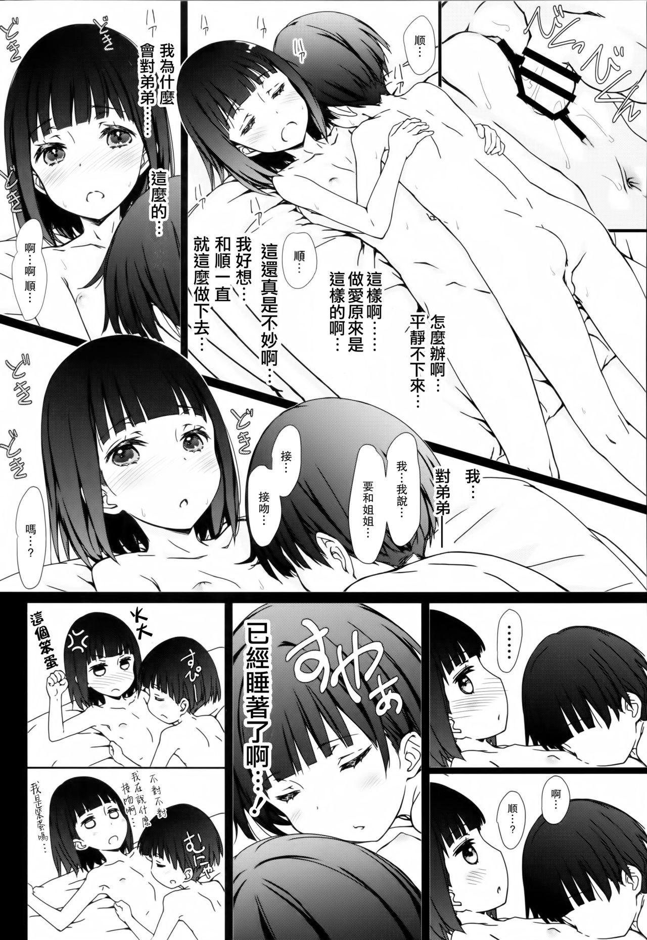 お姉ちゃんと僕と(コミティア120) [超平板小娘電視台 (ほっけうるふ)]  [中国翻訳](20页)