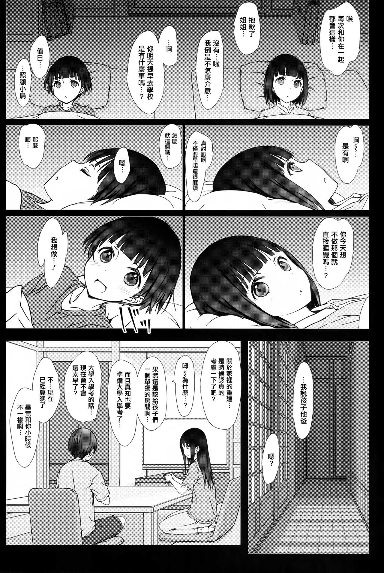 お姉ちゃんと僕と(コミティア120) [超平板小娘電視台 (ほっけうるふ)]  [中国翻訳](20页)