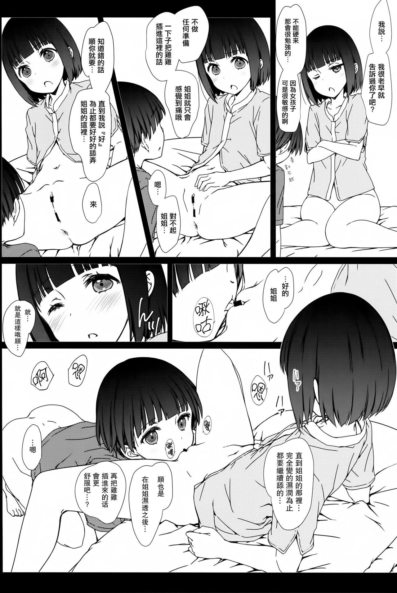 お姉ちゃんと僕と(コミティア120) [超平板小娘電視台 (ほっけうるふ)]  [中国翻訳](20页)