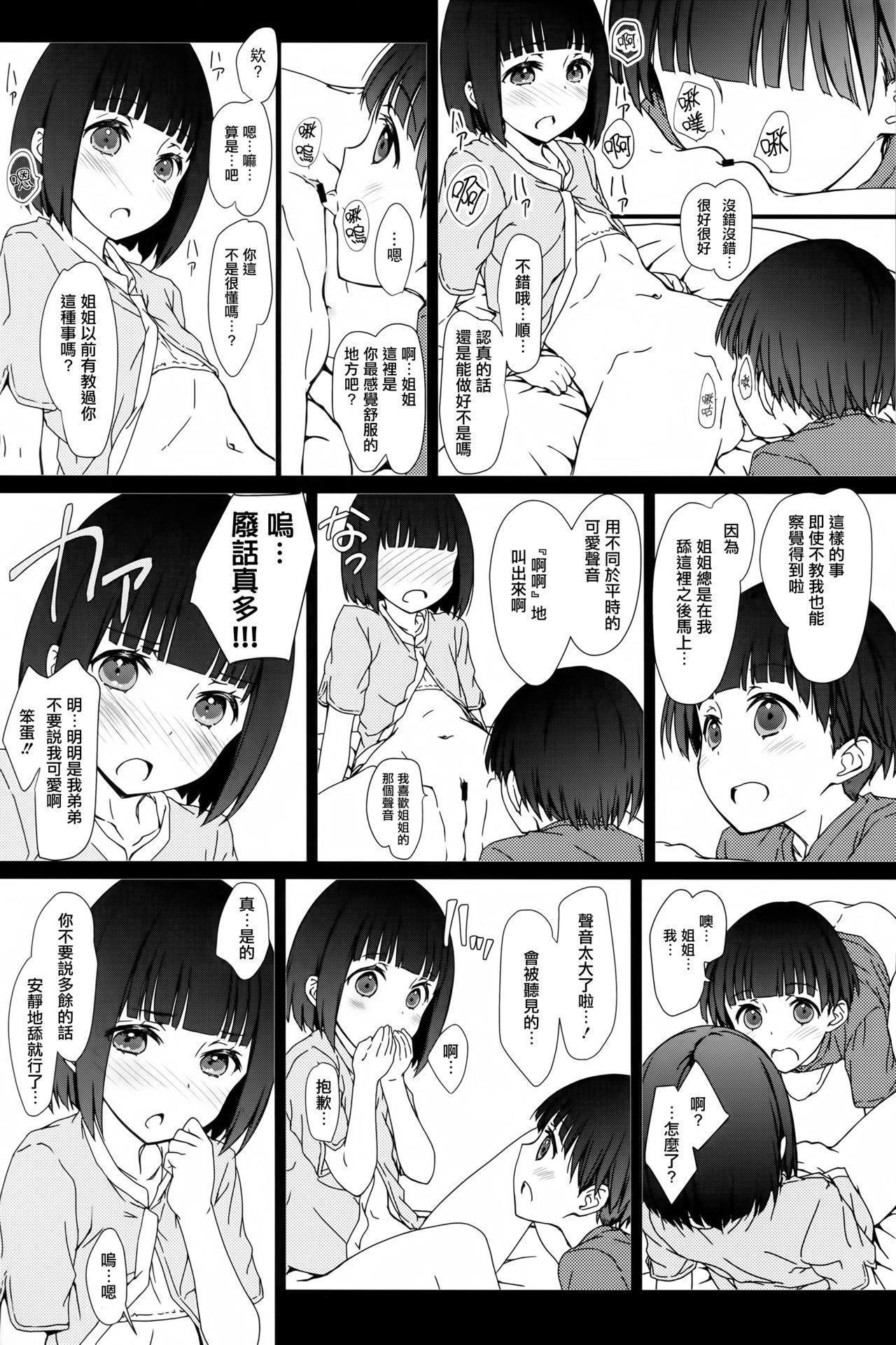 お姉ちゃんと僕と(コミティア120) [超平板小娘電視台 (ほっけうるふ)]  [中国翻訳](20页)