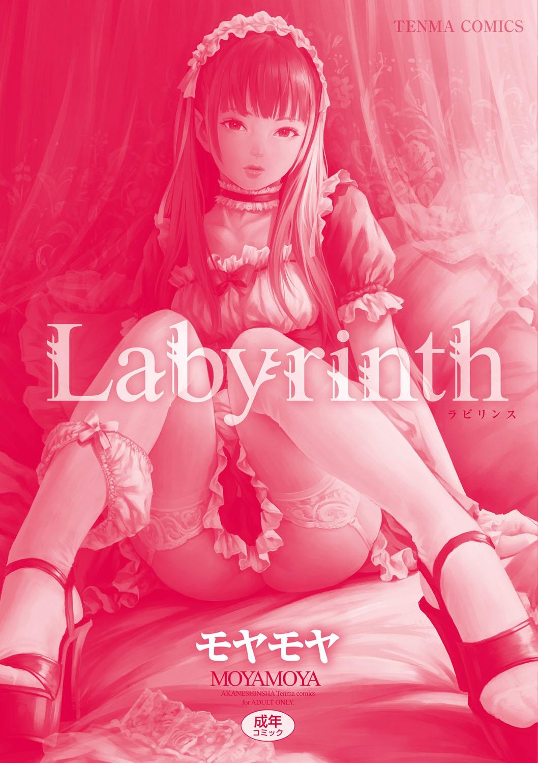 Labyrinth[モヤモヤ]  [中国翻訳](238页)