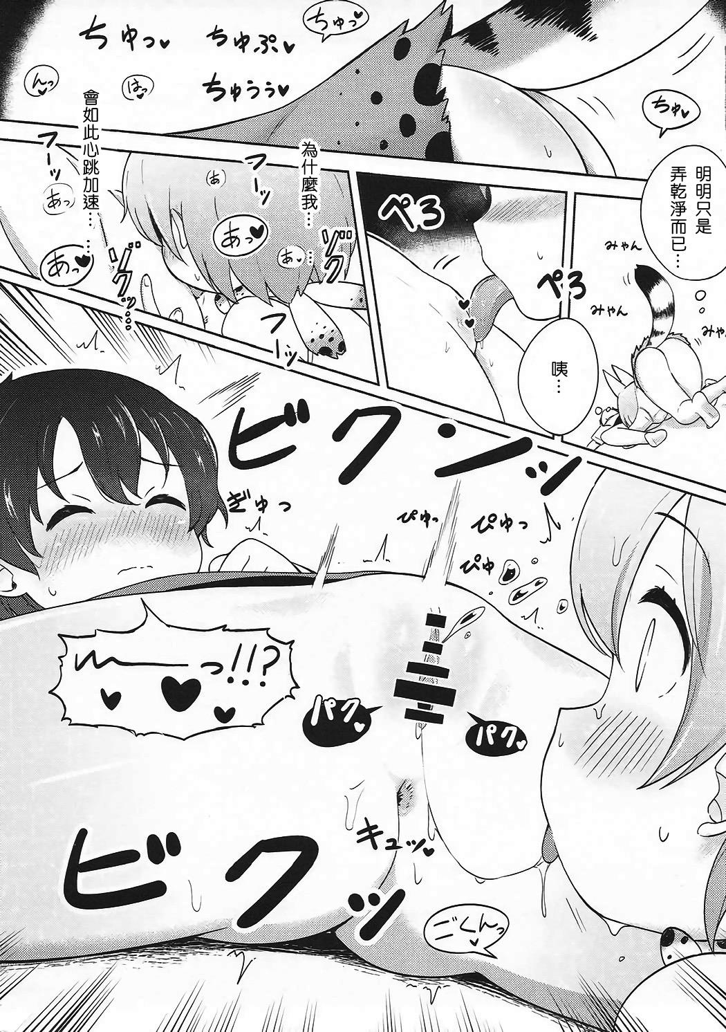 けものえっち観察記録(C92) [ねこパンツ]  (けものフレンズ) [中国翻訳](31页)