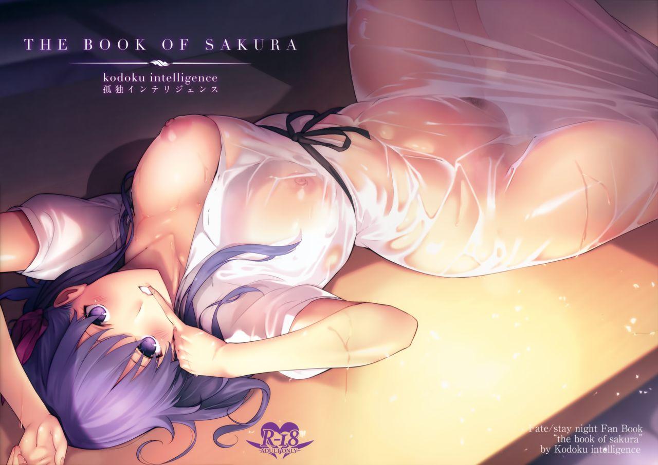 THE BOOK OF SAKURA(C93) [孤独intelligence (ななお)]  (Fate/stay night) [中国翻訳](19页)