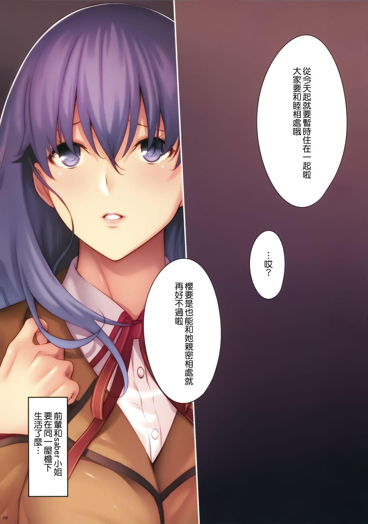 THE BOOK OF SAKURA(C93) [孤独intelligence (ななお)]  (Fate/stay night) [中国翻訳](19页)