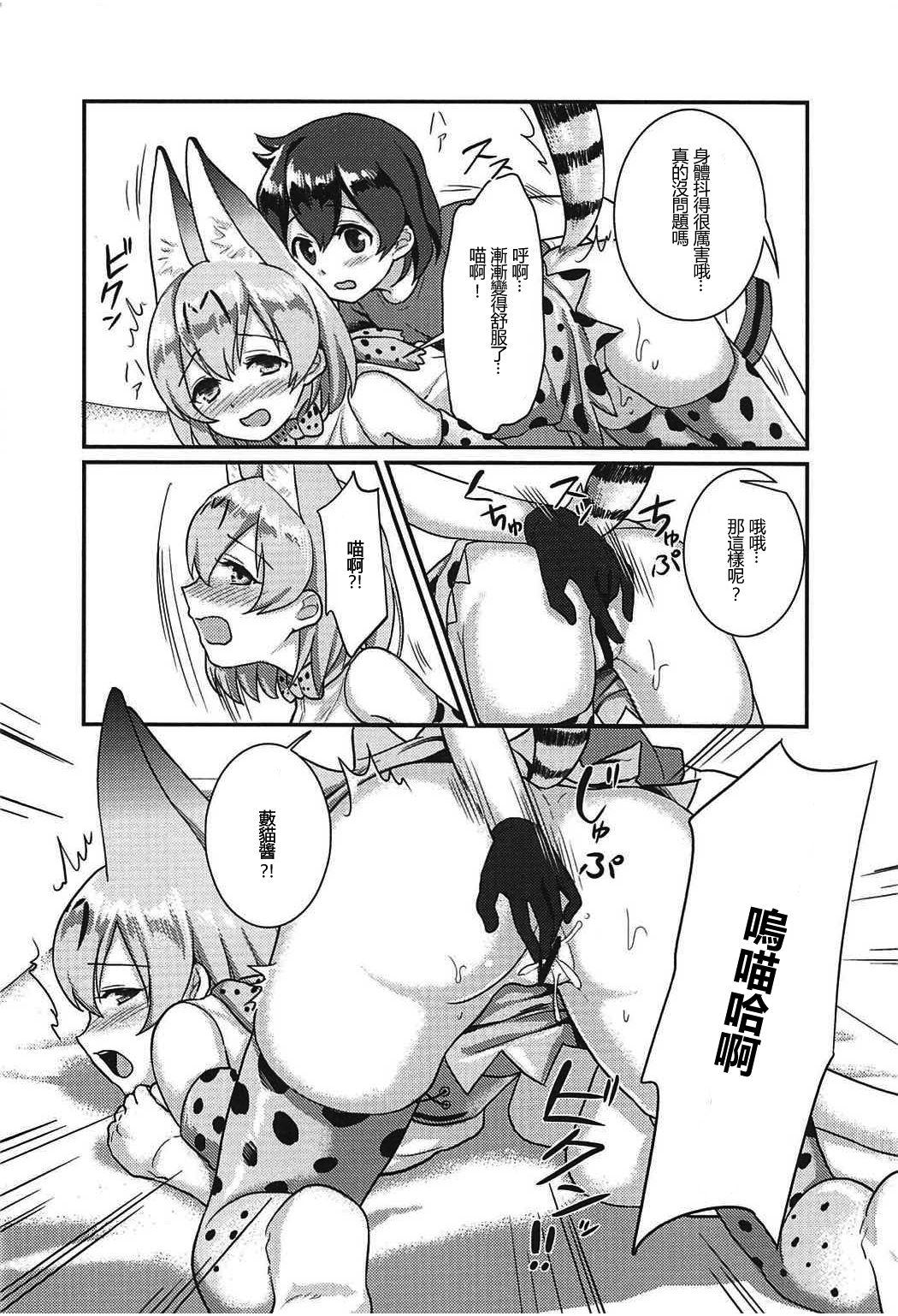 大好きに決まってる!!(C92) [天堂紙 (梟森)]  (けものフレンズ) [中国翻訳](23页)