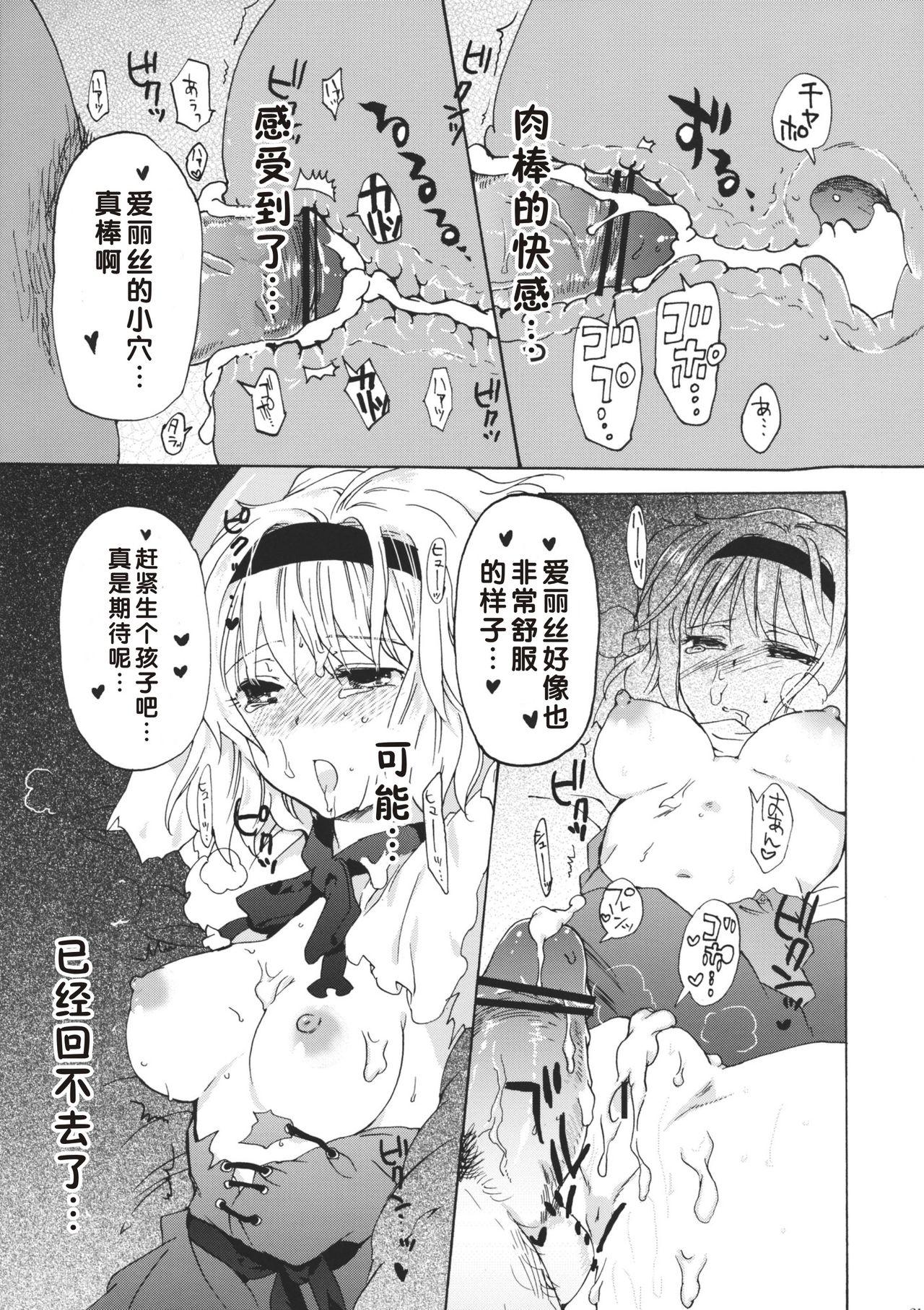 アリスdeあそぼ(例大祭8) [ウミナリ (ナルみ)]  (東方Project) [中国翻訳](28页)