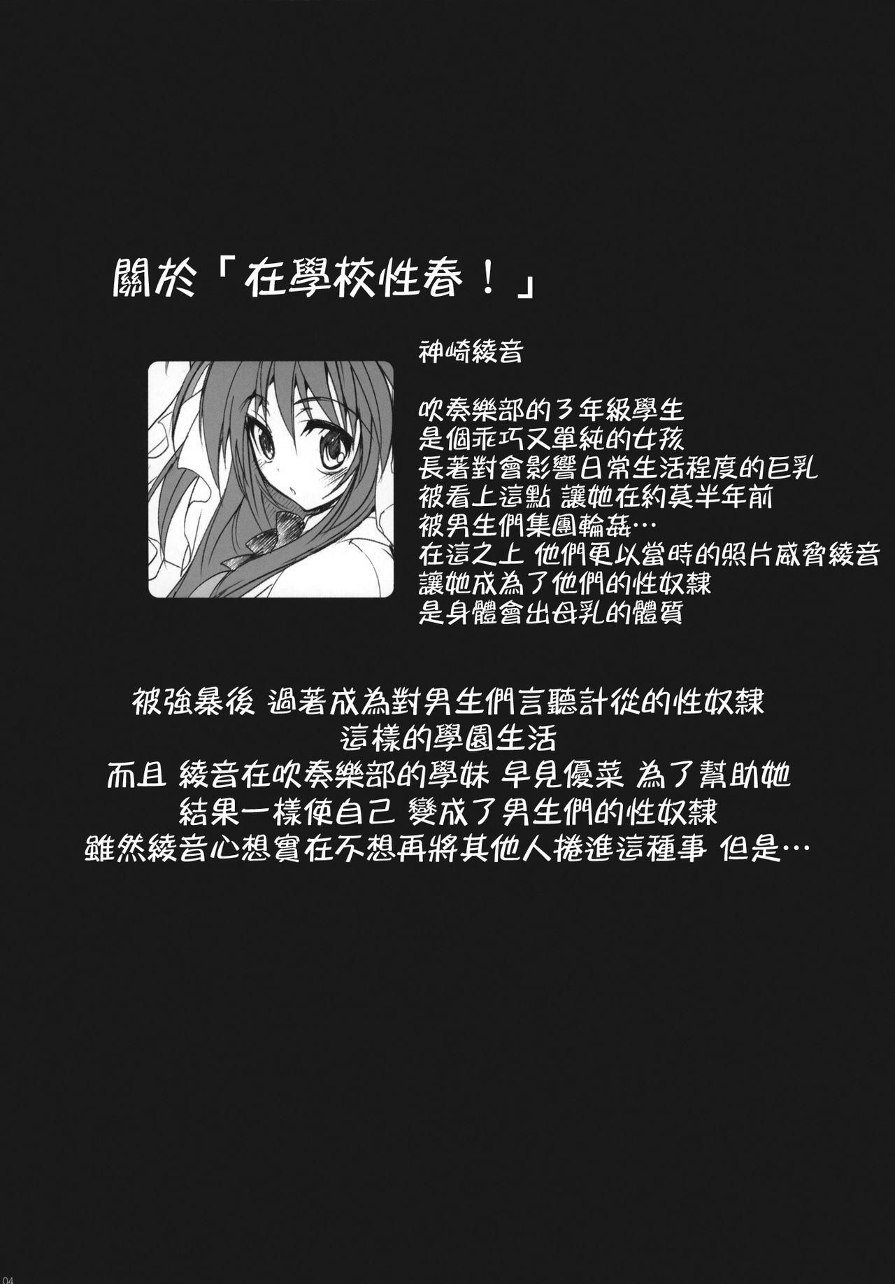 学校で性春! 4 ～同級生も一緒～(C78) [乙女気分 (三色網戸。)]  [中国翻訳](28页)